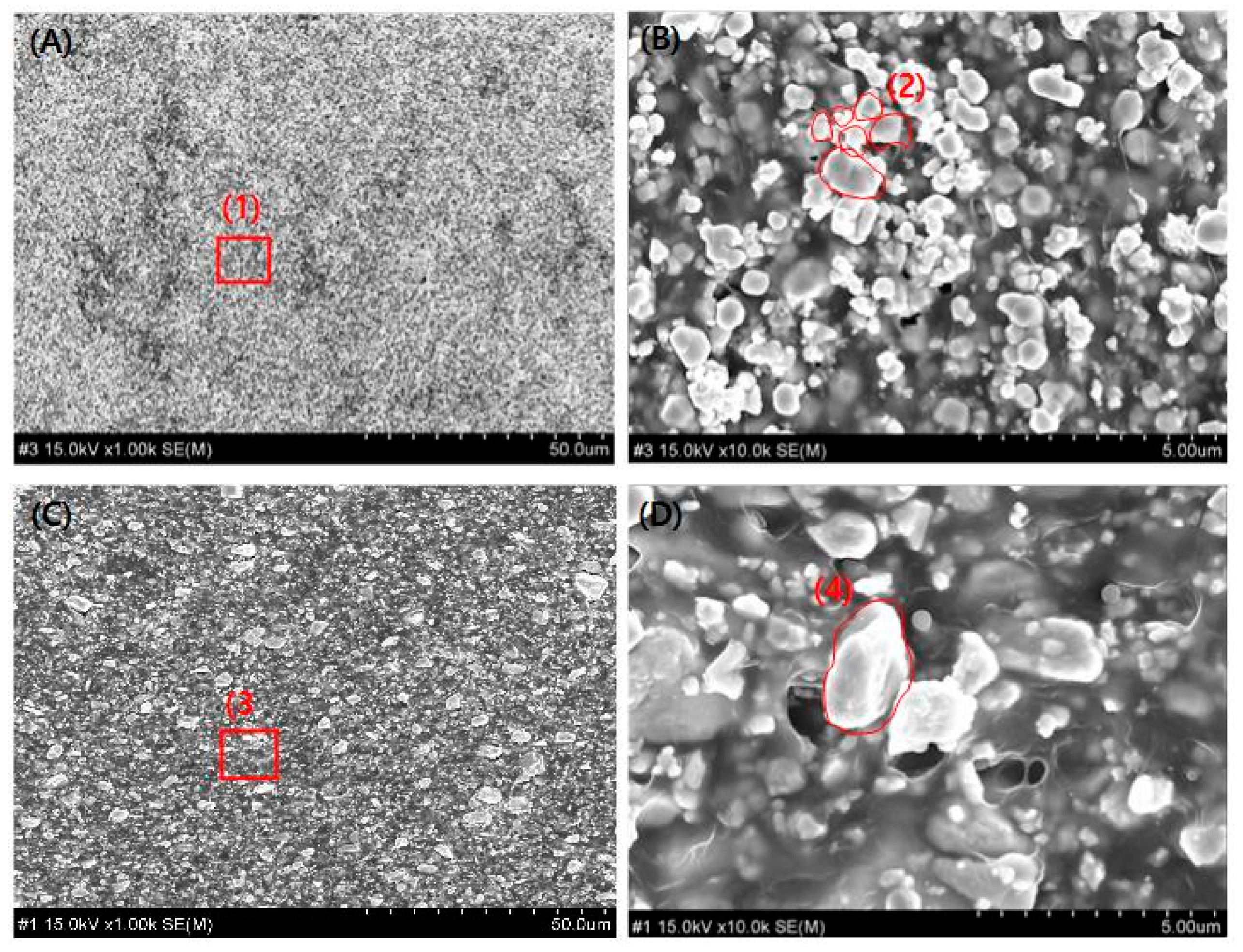 Materials 18 02174 g004