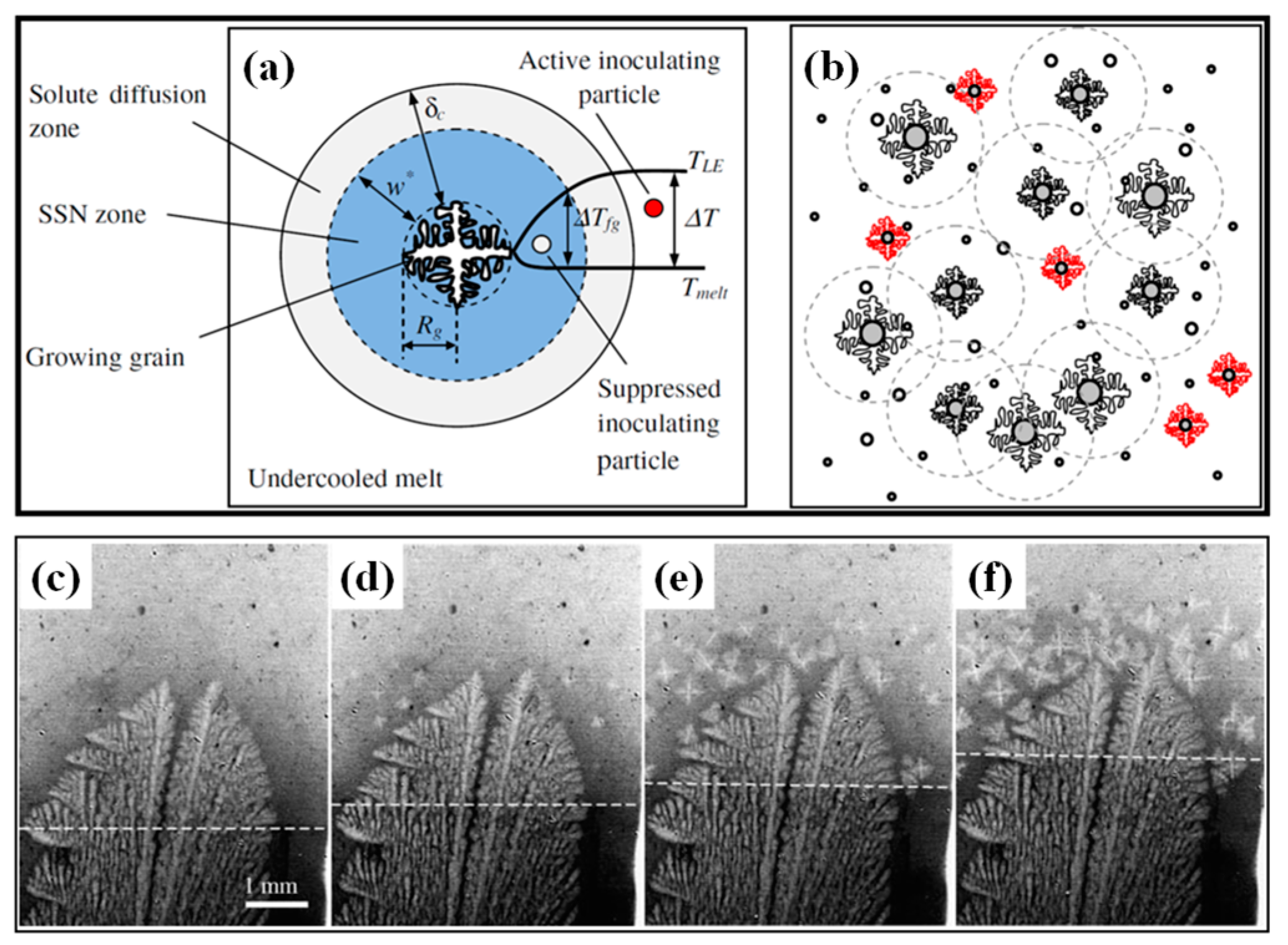Materials 18 02179 g001 Materials 18 02179 g001