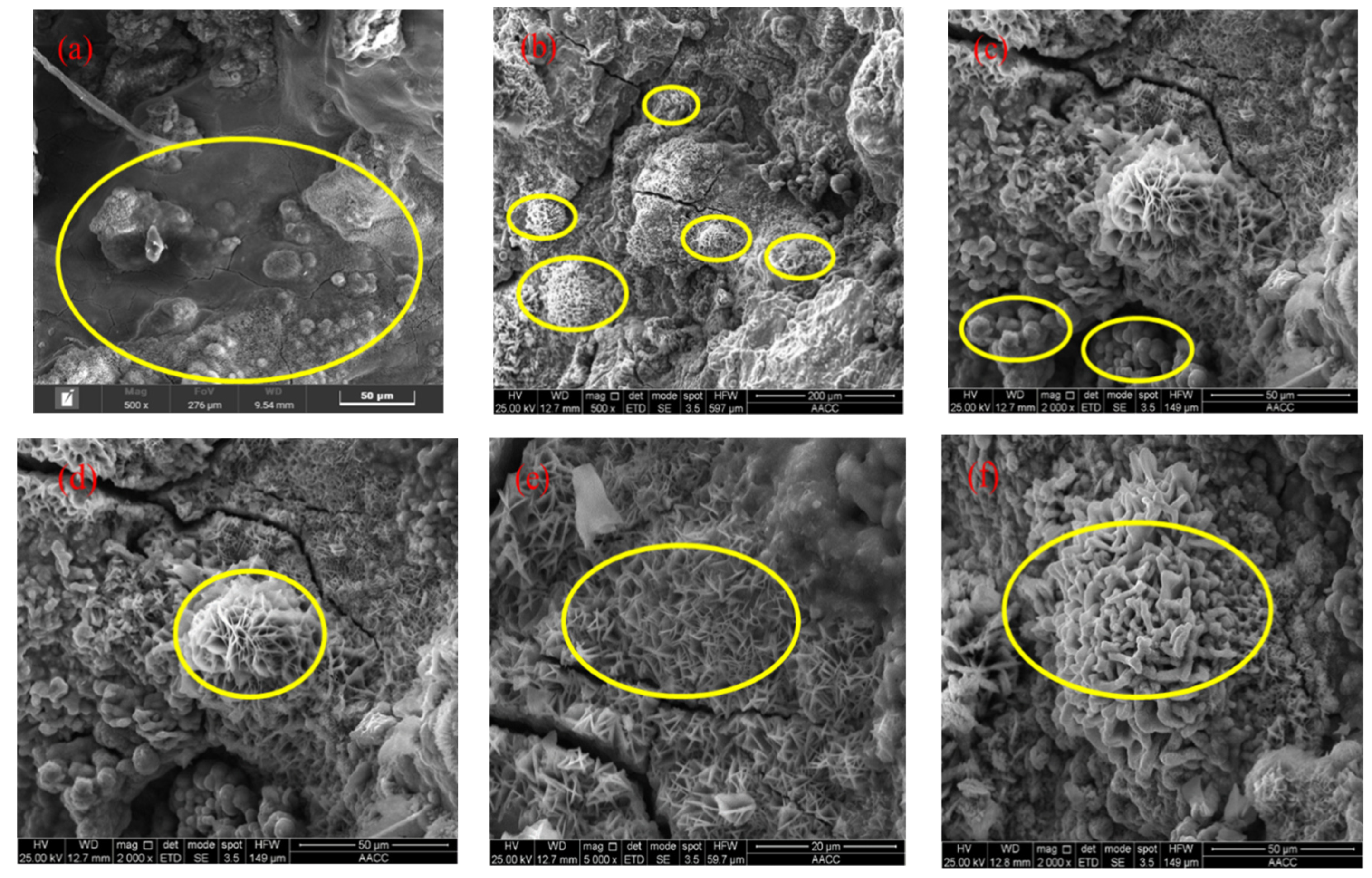 Materials 18 02185 g010