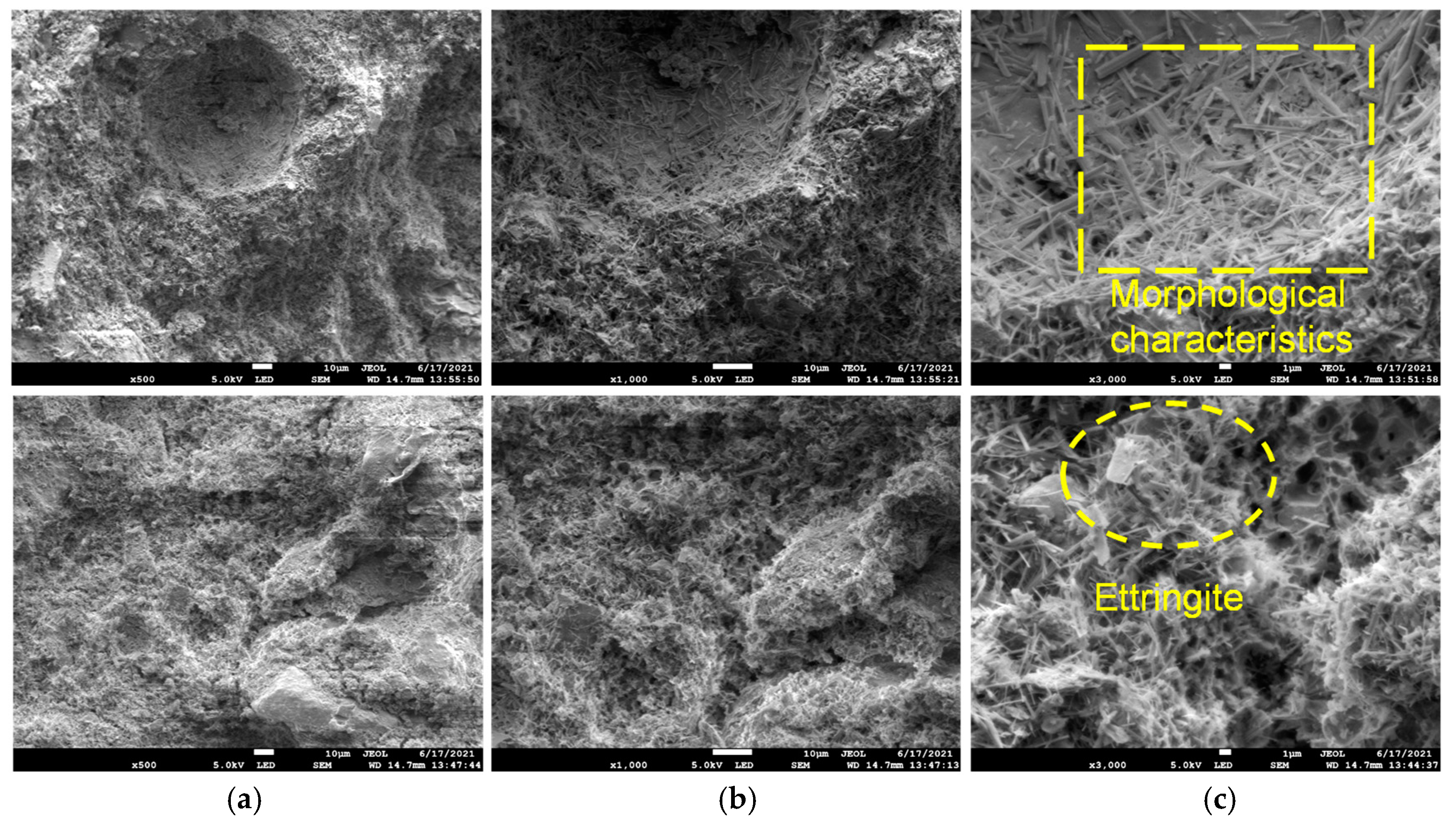 Materials 18 02186 g006