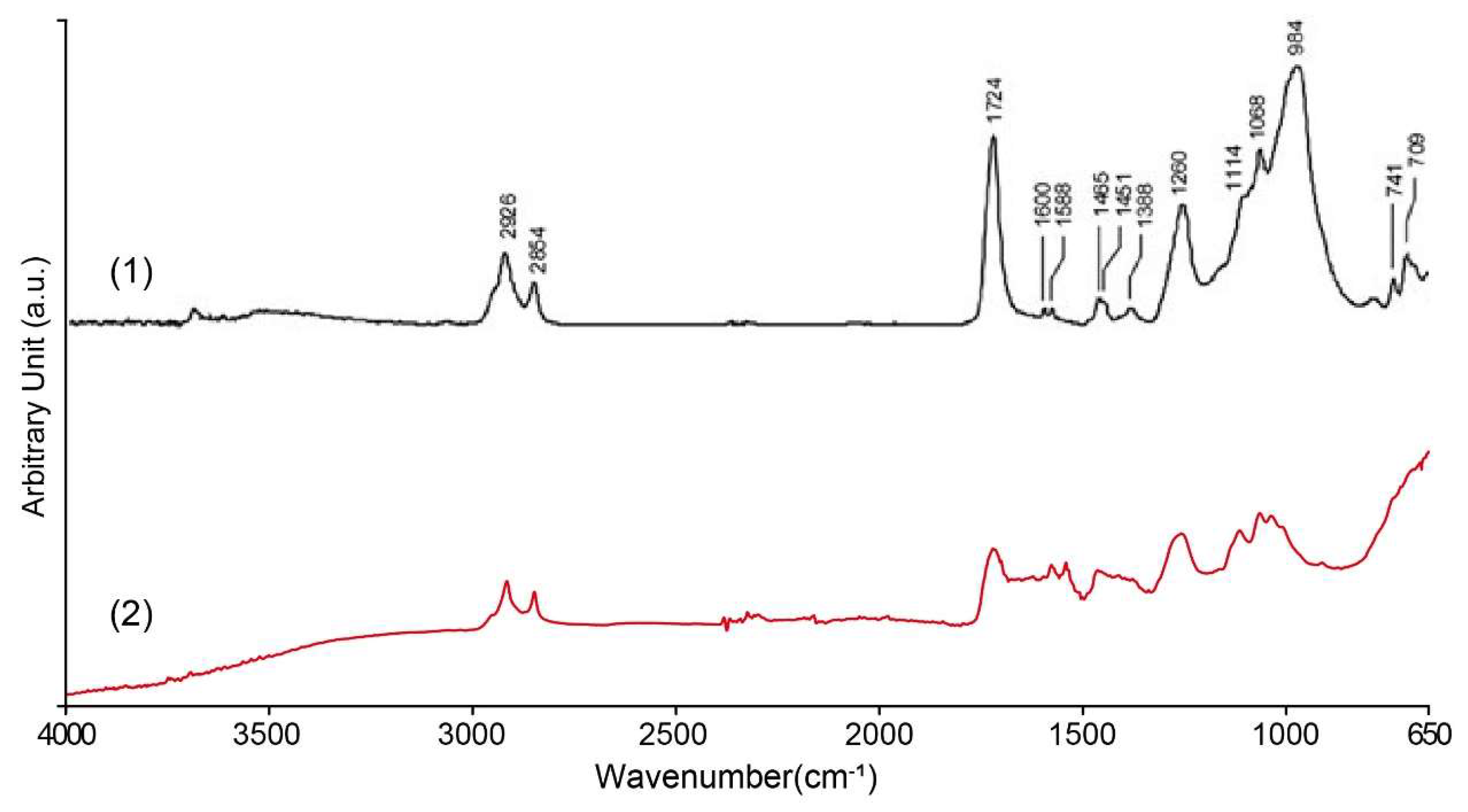 Materials 18 02190 g012