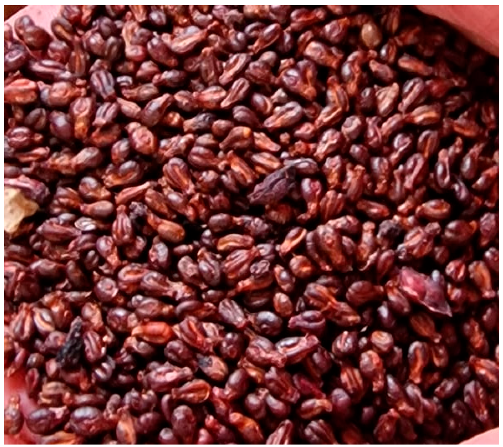 Materials 18 02195 g024