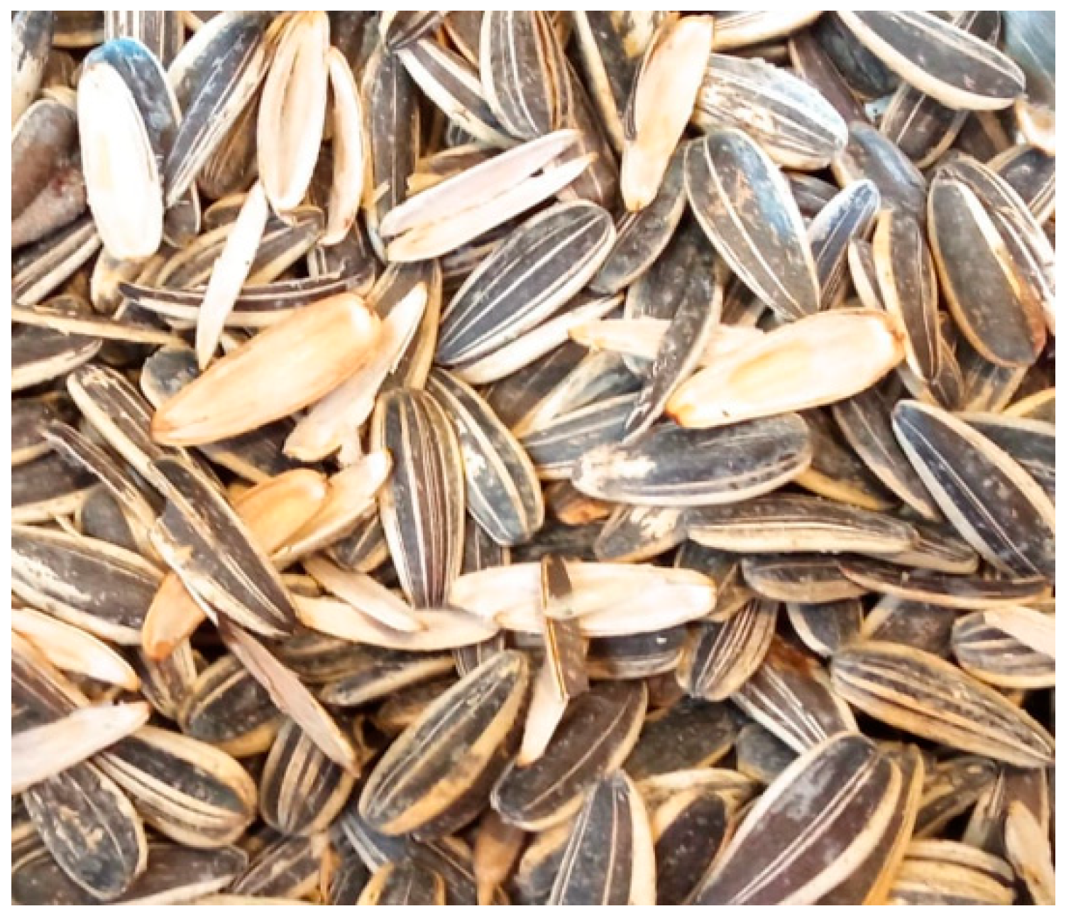 Materials 18 02195 g033