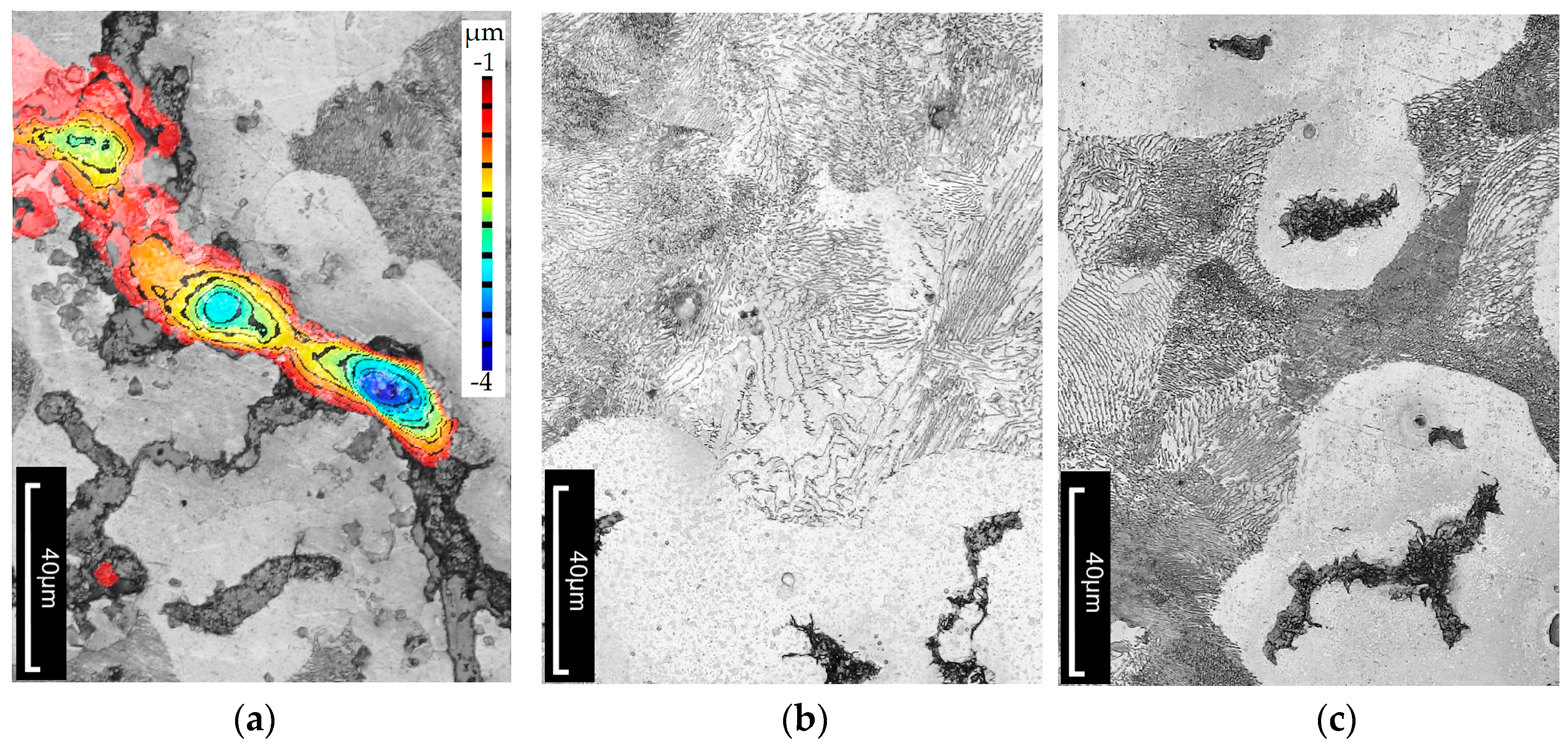 Materials 18 02200 g010