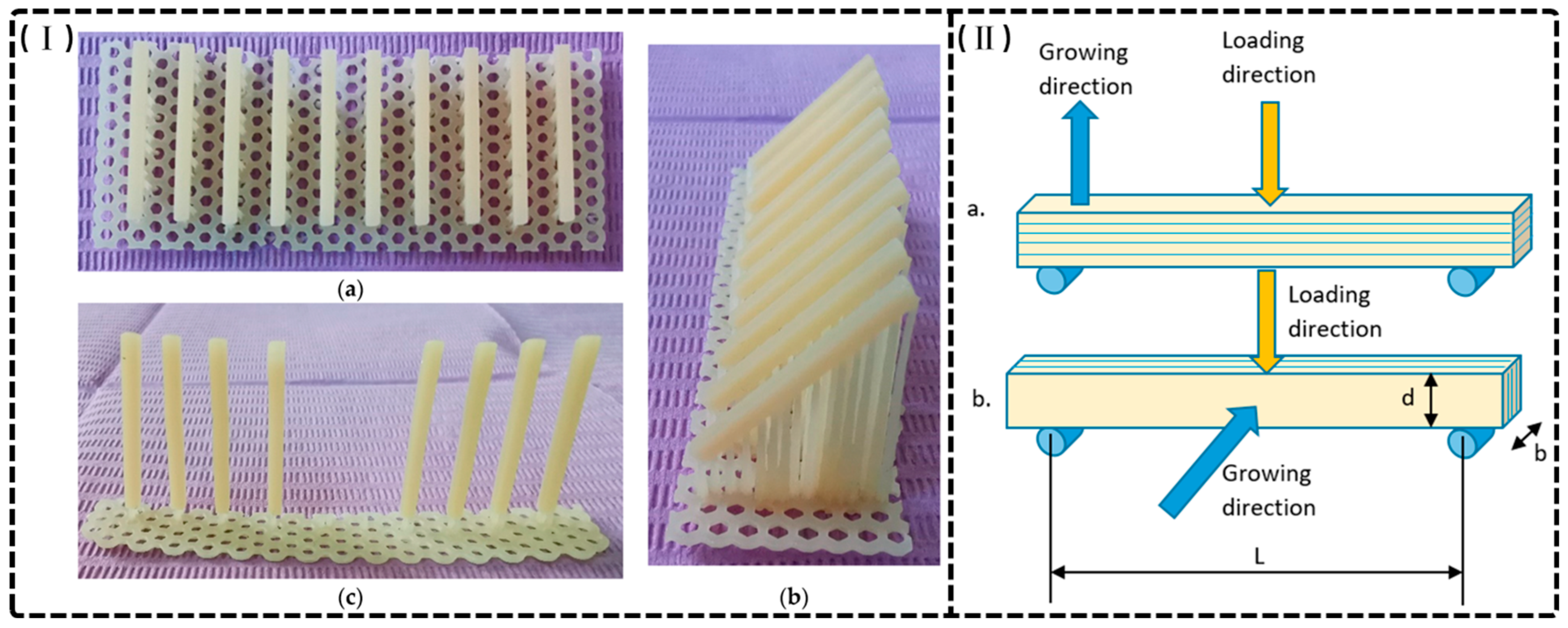 Materials 18 02202 g004 Materials 18 02202 g004