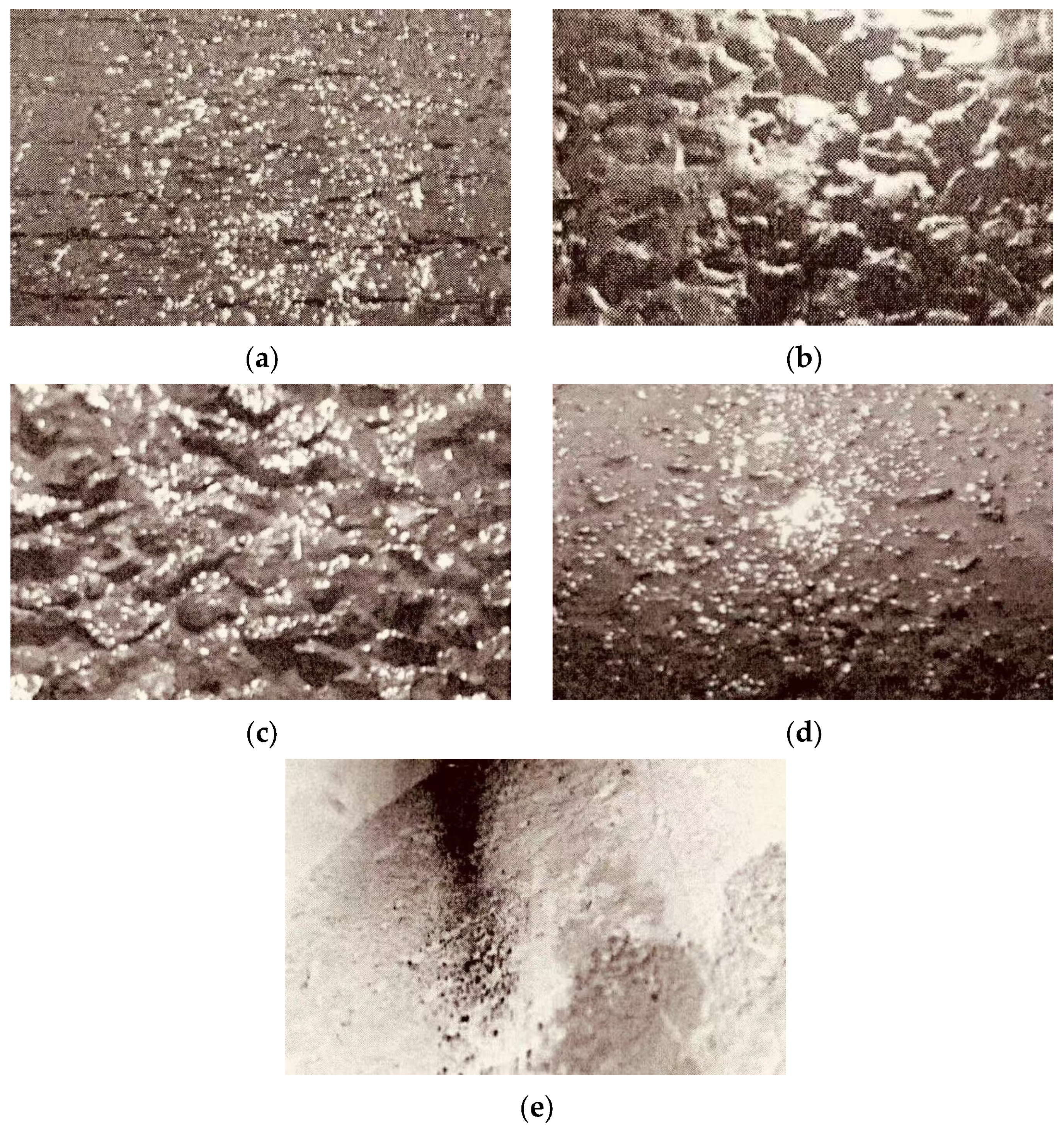 Materials 18 02210 g003