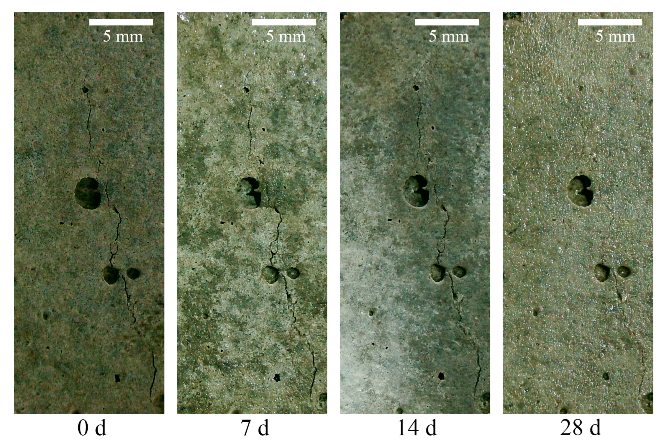 Materials 18 02216 g008