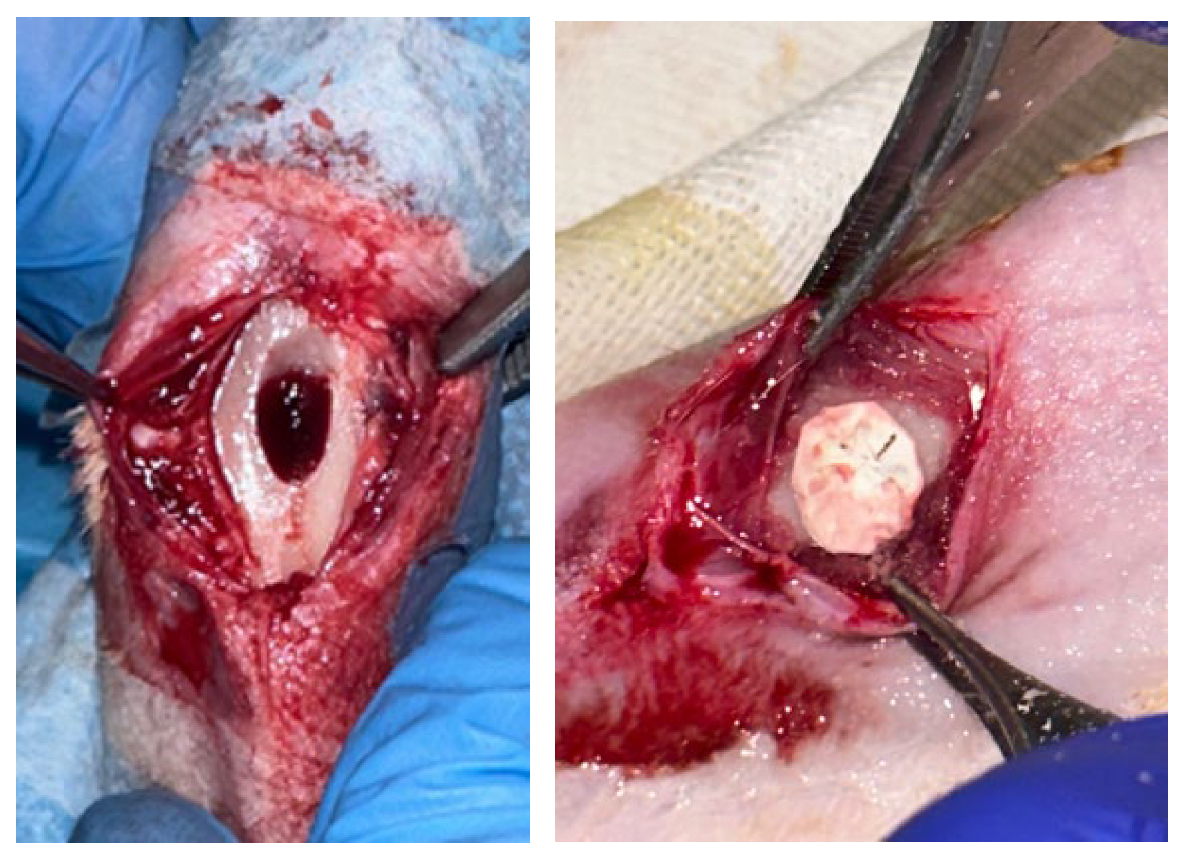 Materials 18 02234 g002