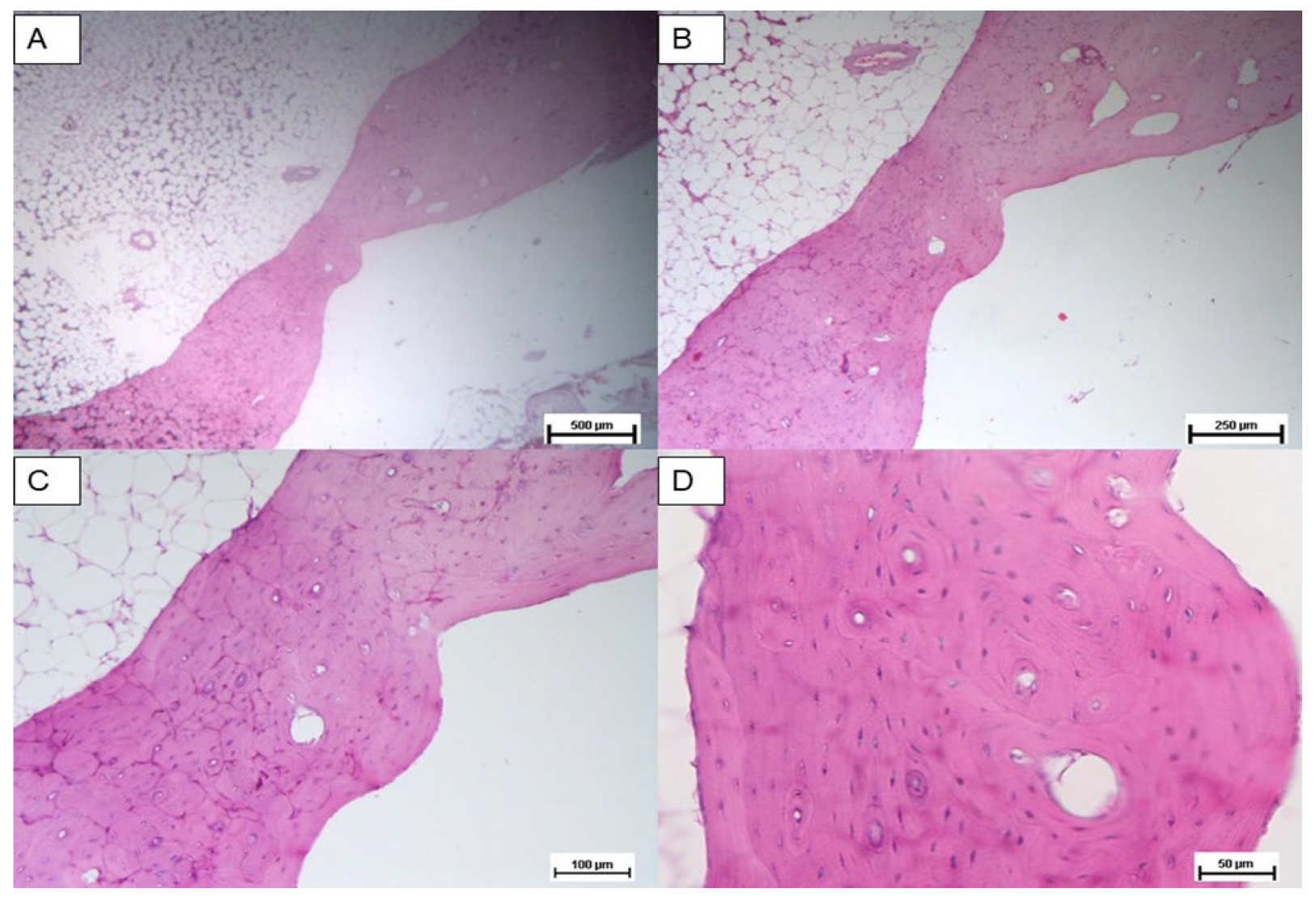 Materials 18 02234 g007