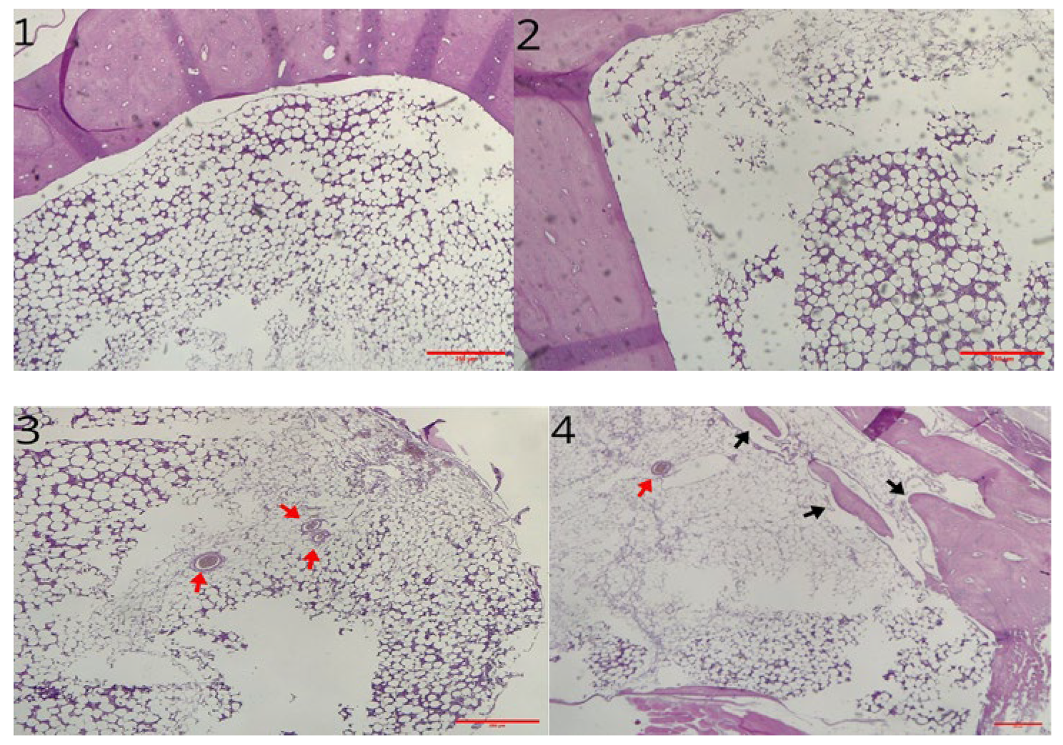 Materials 18 02234 g011