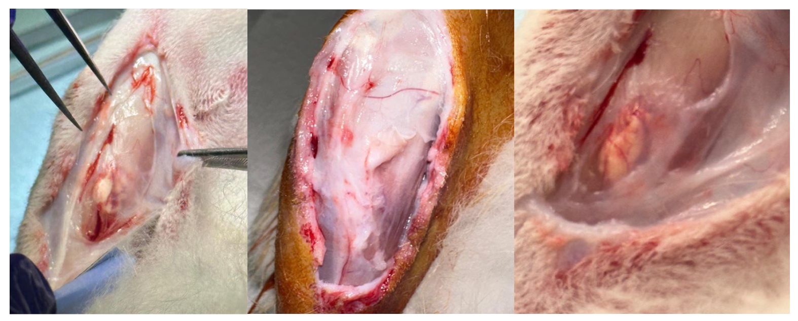 Materials 18 02234 g013