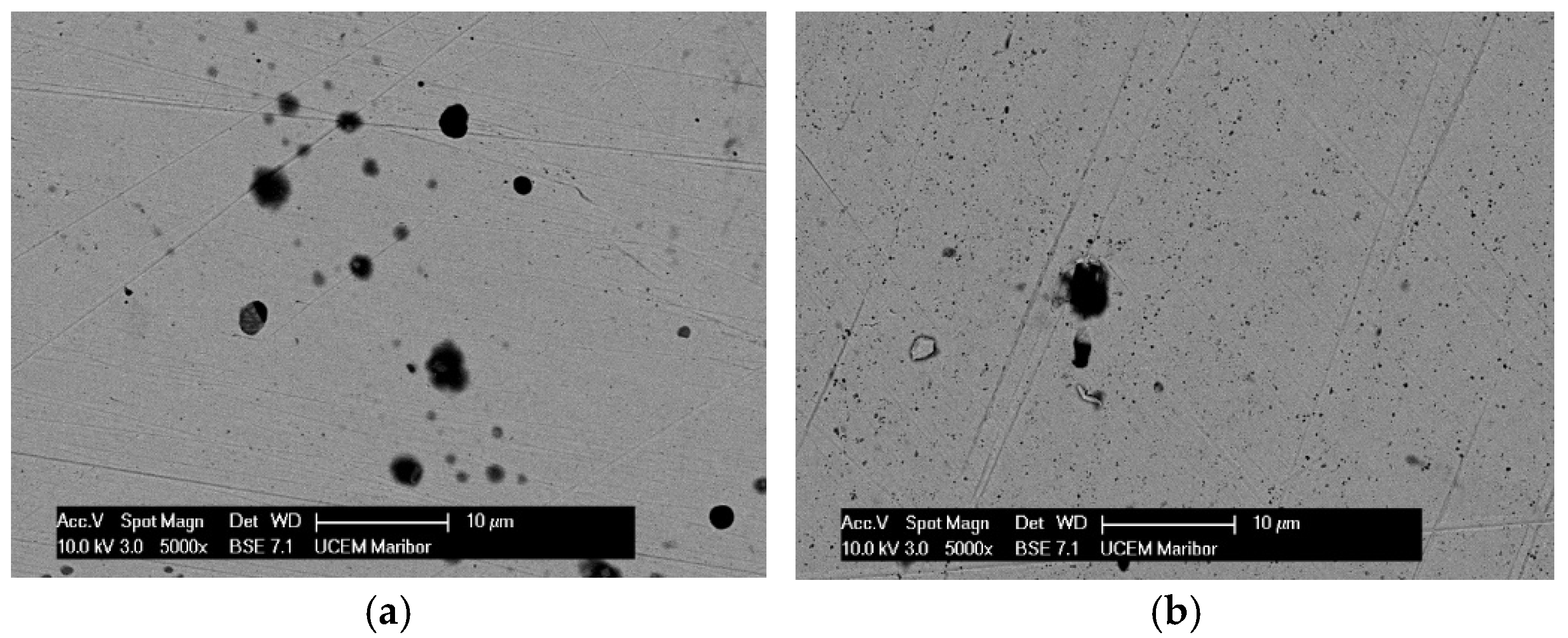 Materials 18 02243 g001