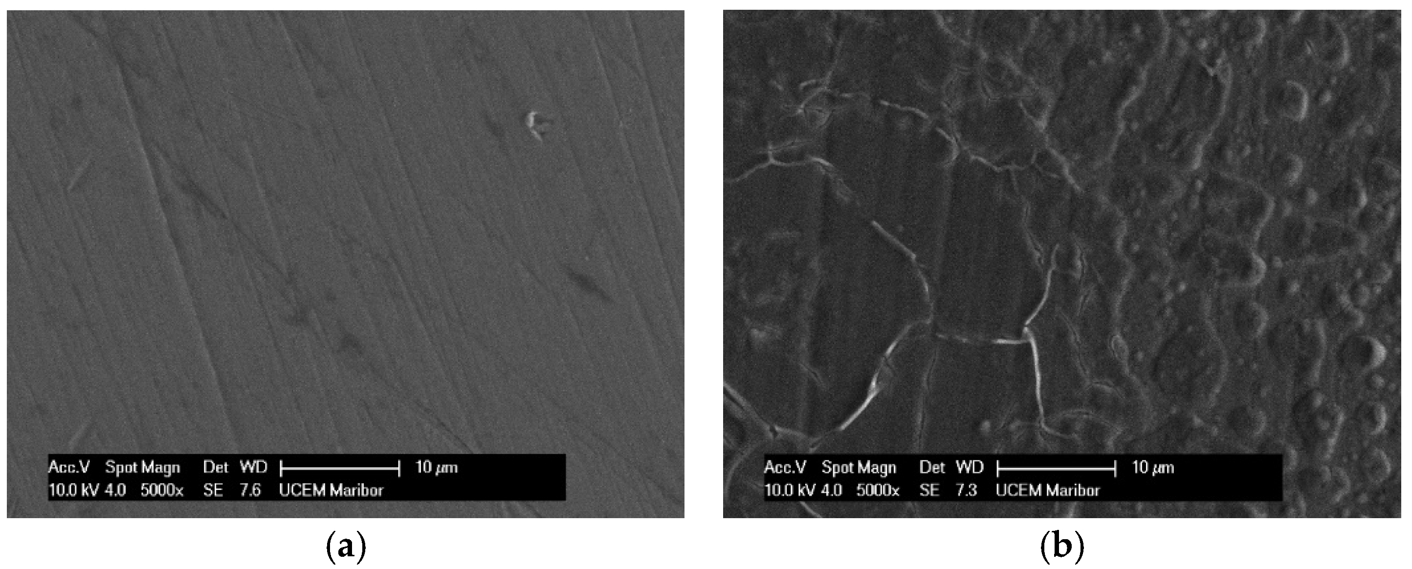 Materials 18 02243 g003