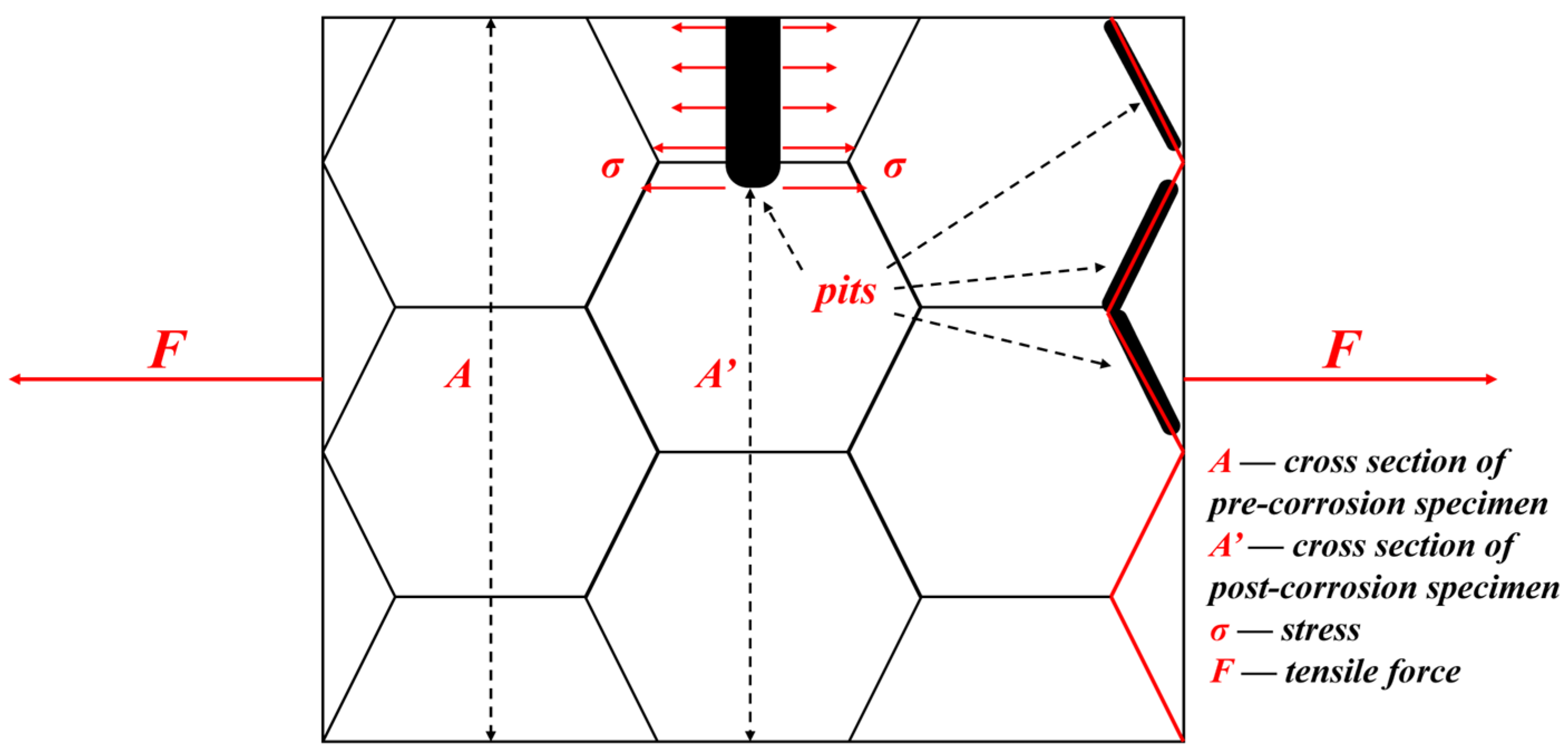 Materials 18 02244 g012