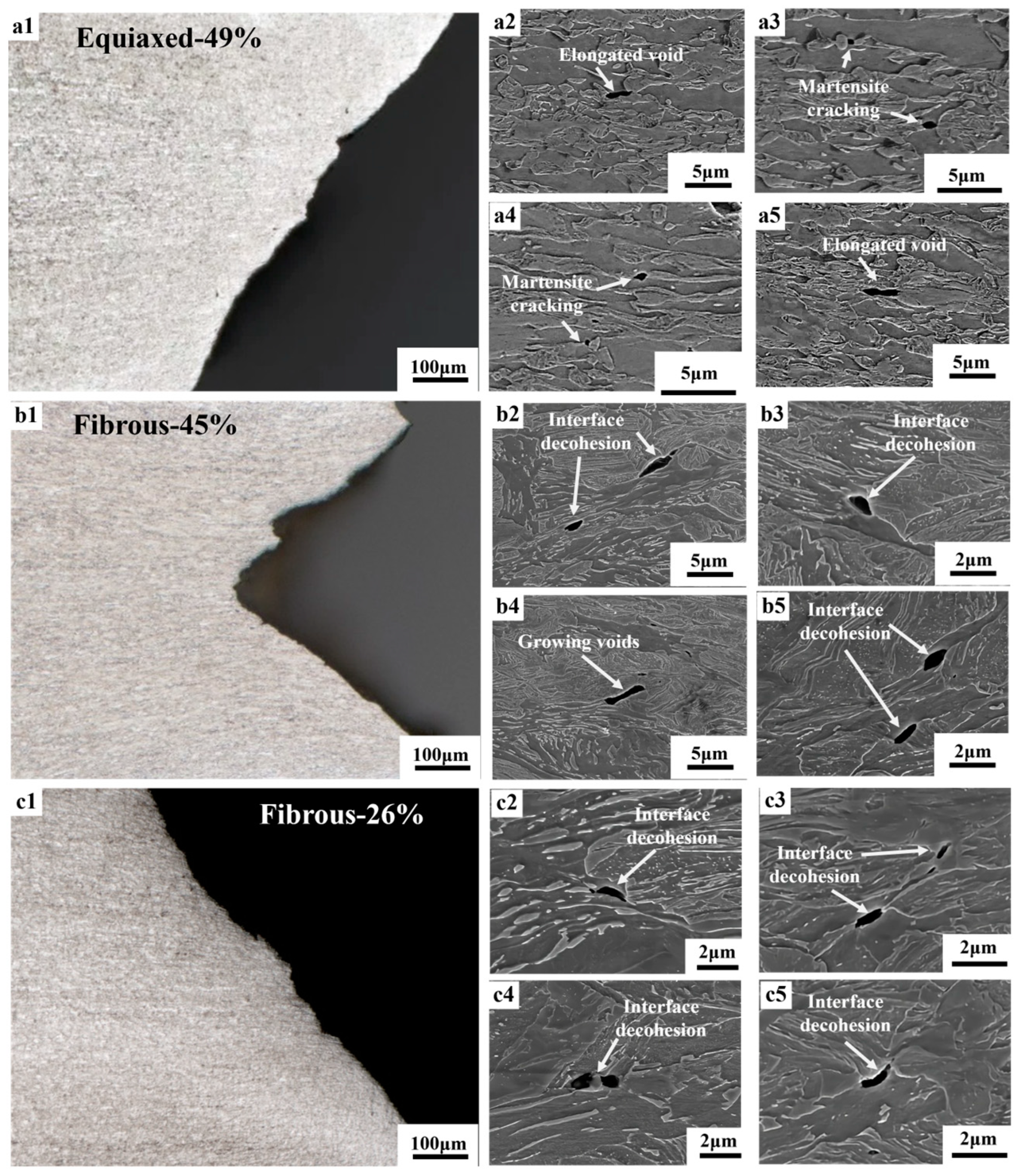Materials 18 02253 g005