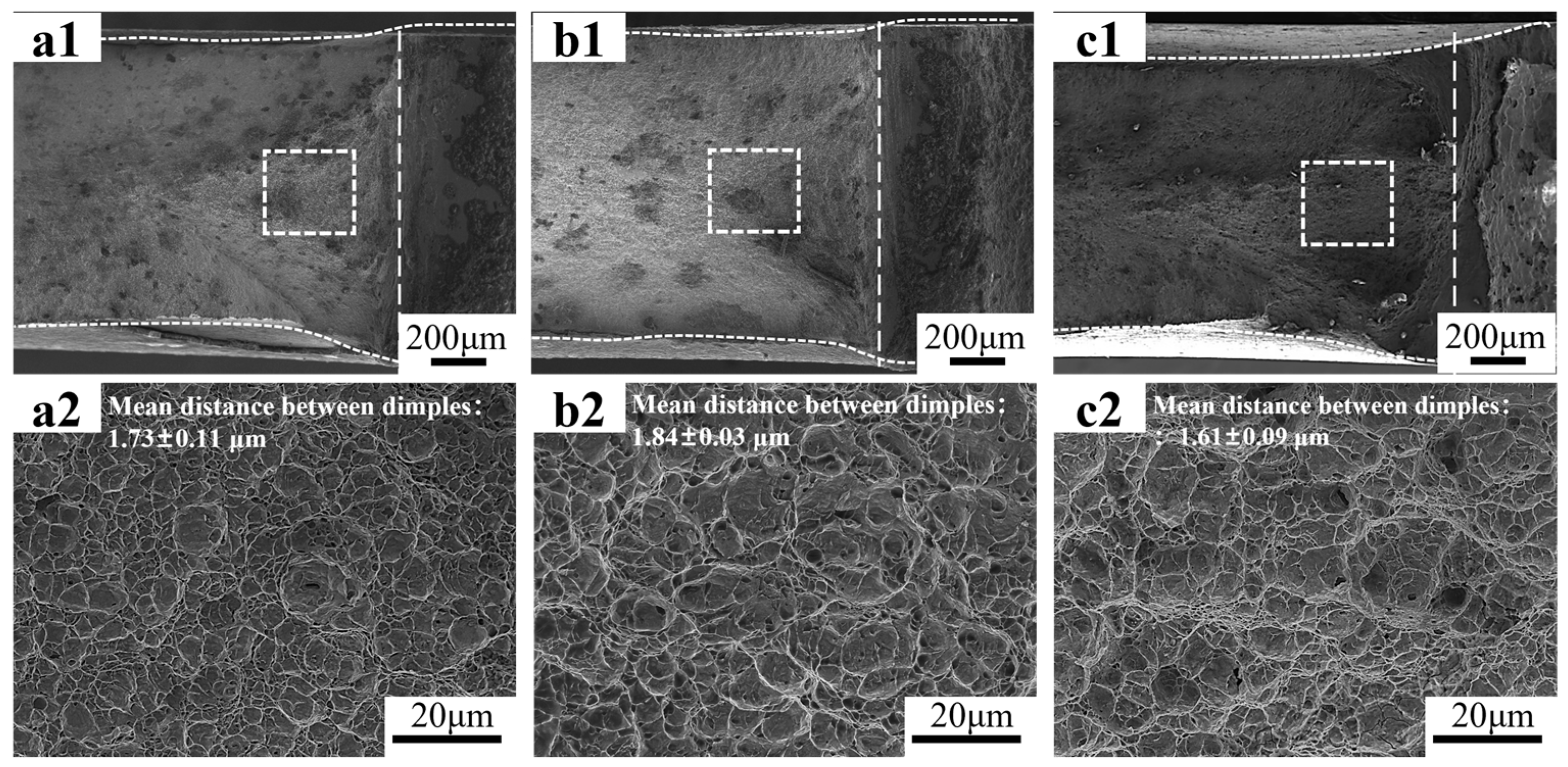 Materials 18 02253 g009