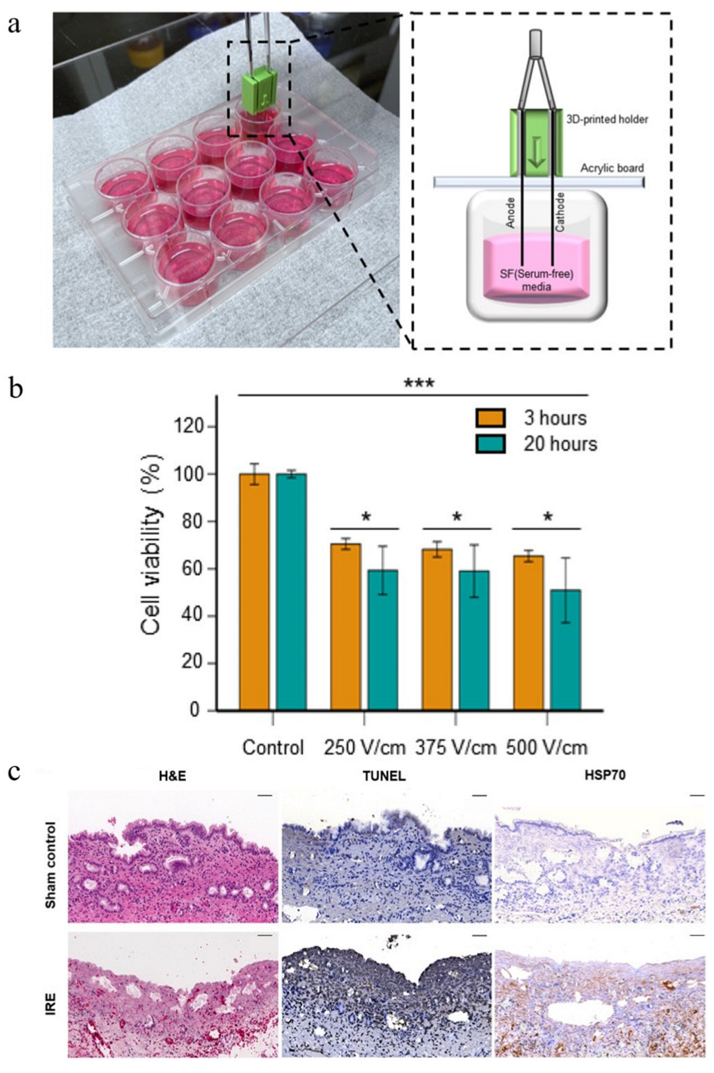 Materials 18 02262 g003