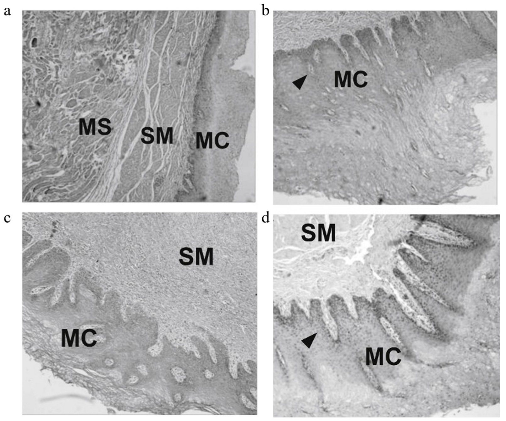 Materials 18 02262 g005