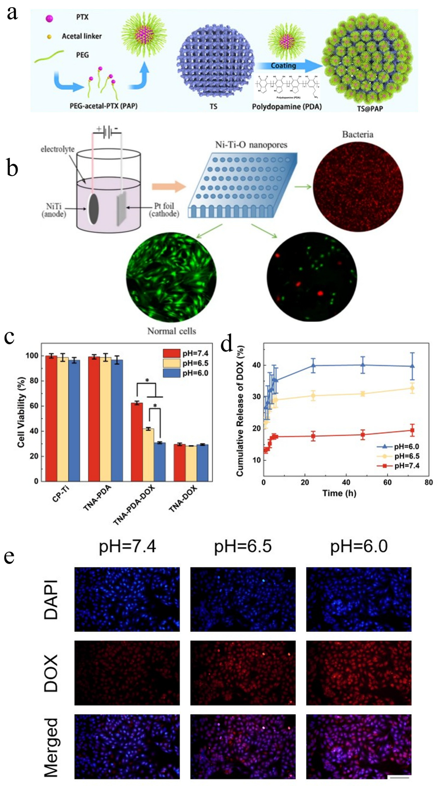 Materials 18 02262 g006