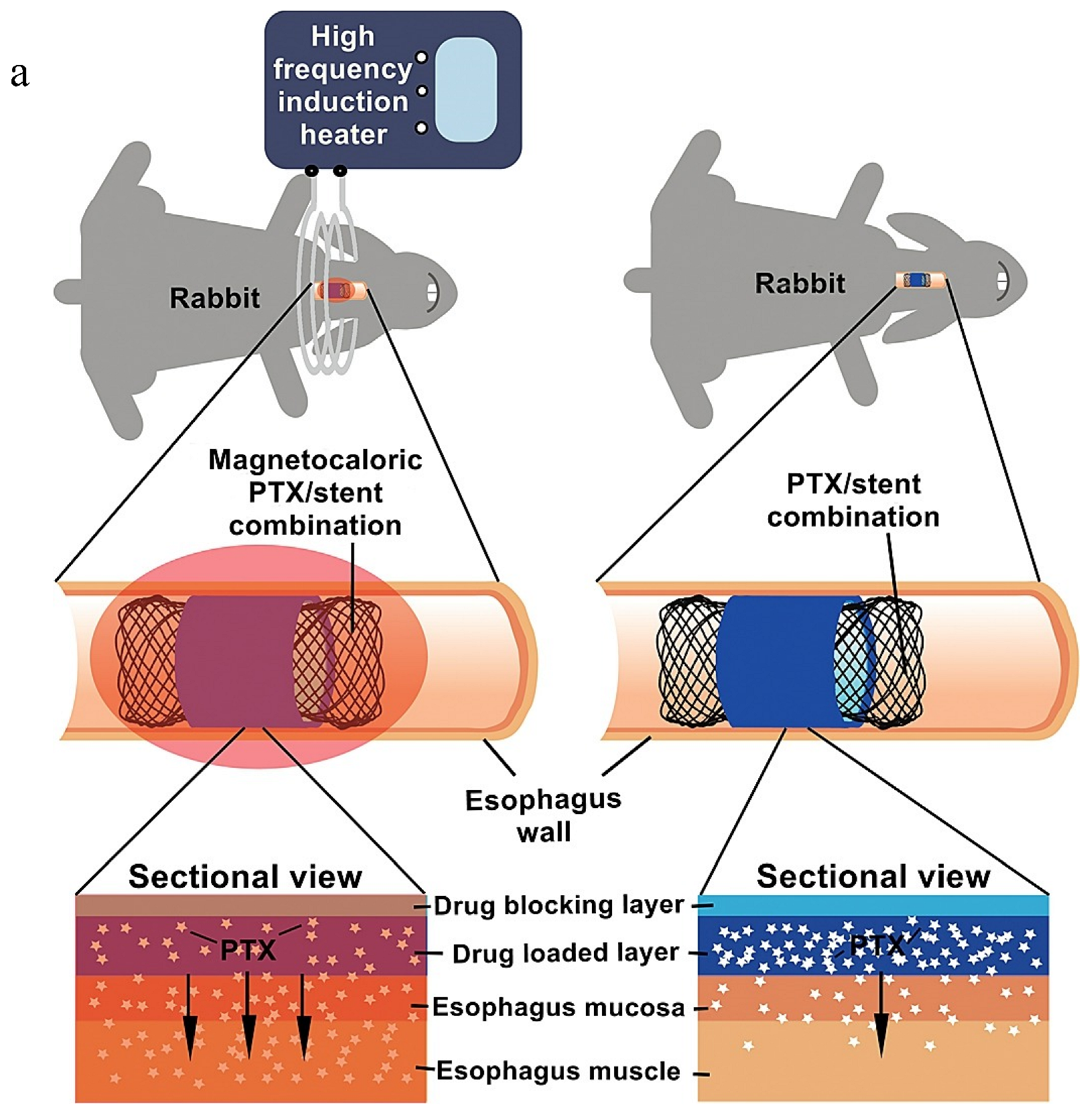 Materials 18 02262 g008a