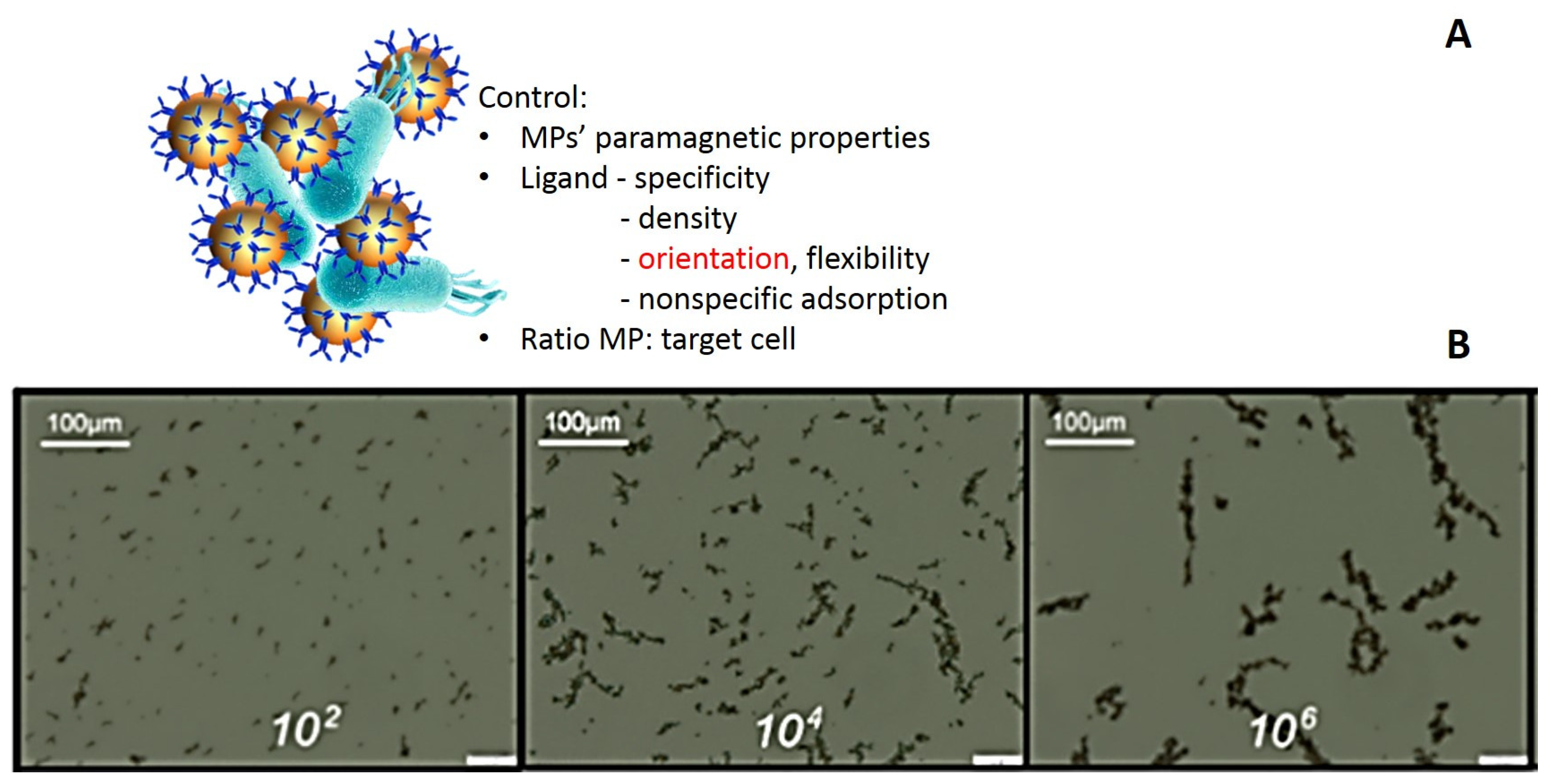 Materials 18 02264 g001