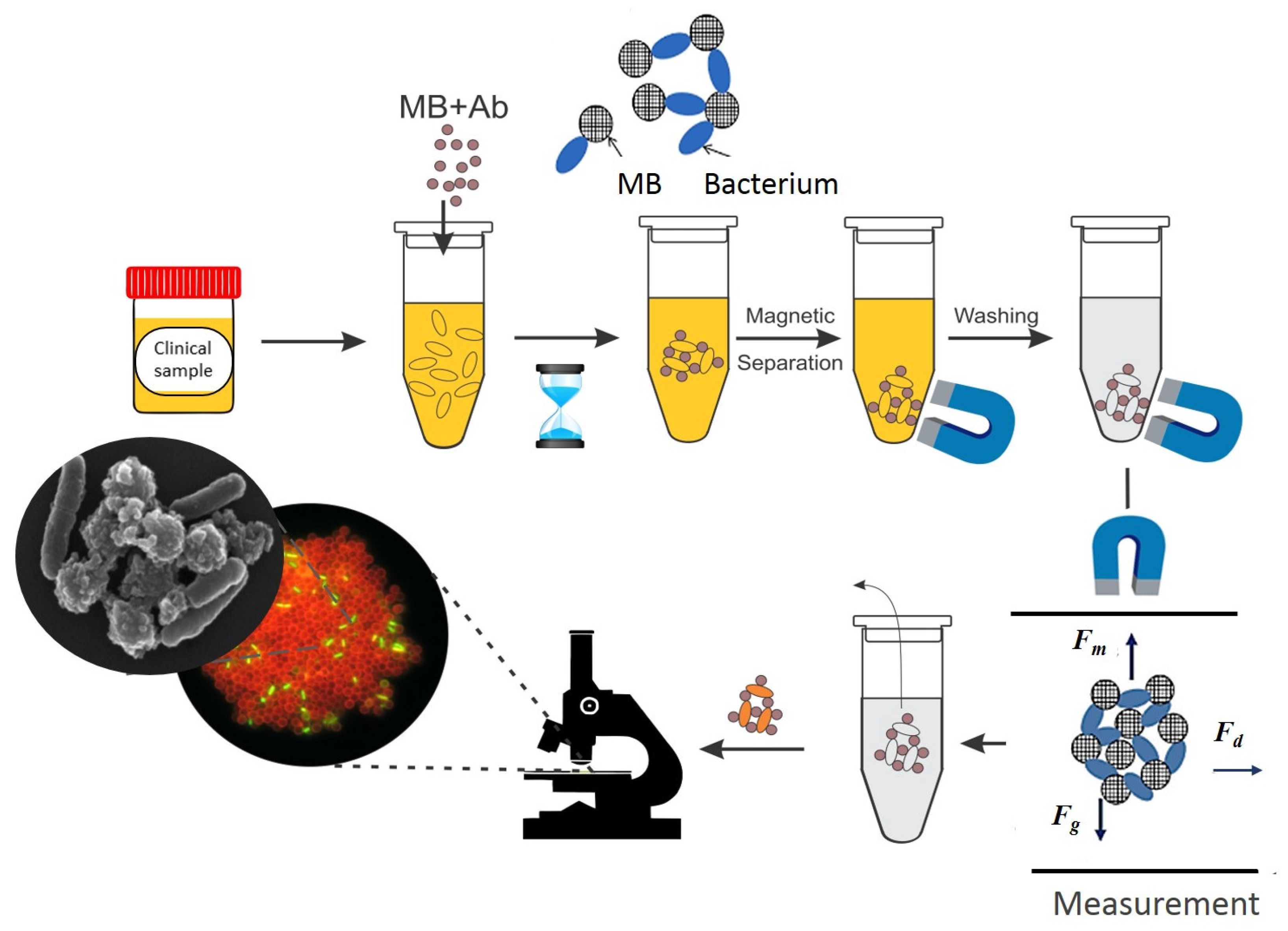 Materials 18 02264 g002