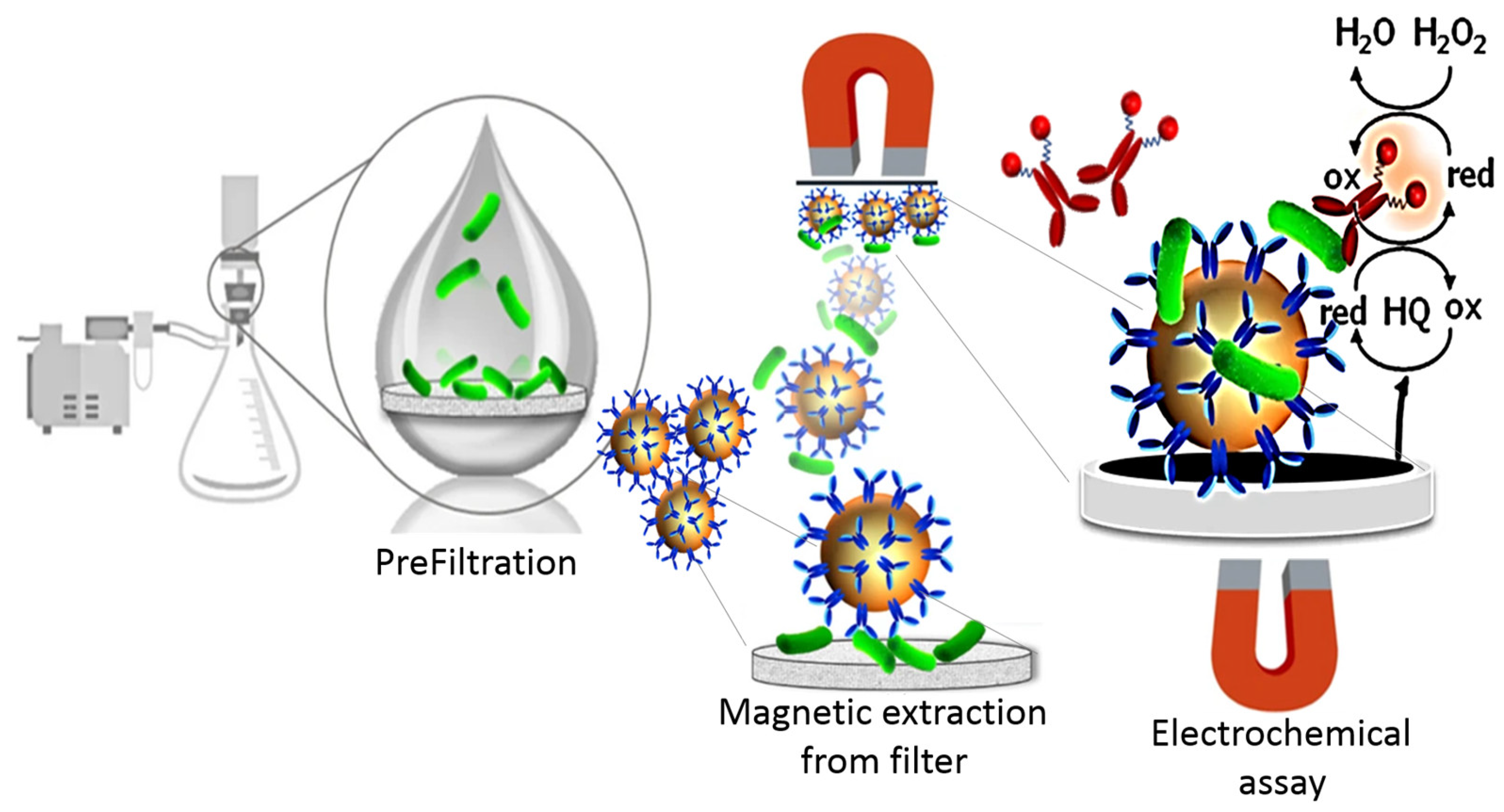 Materials 18 02264 g004