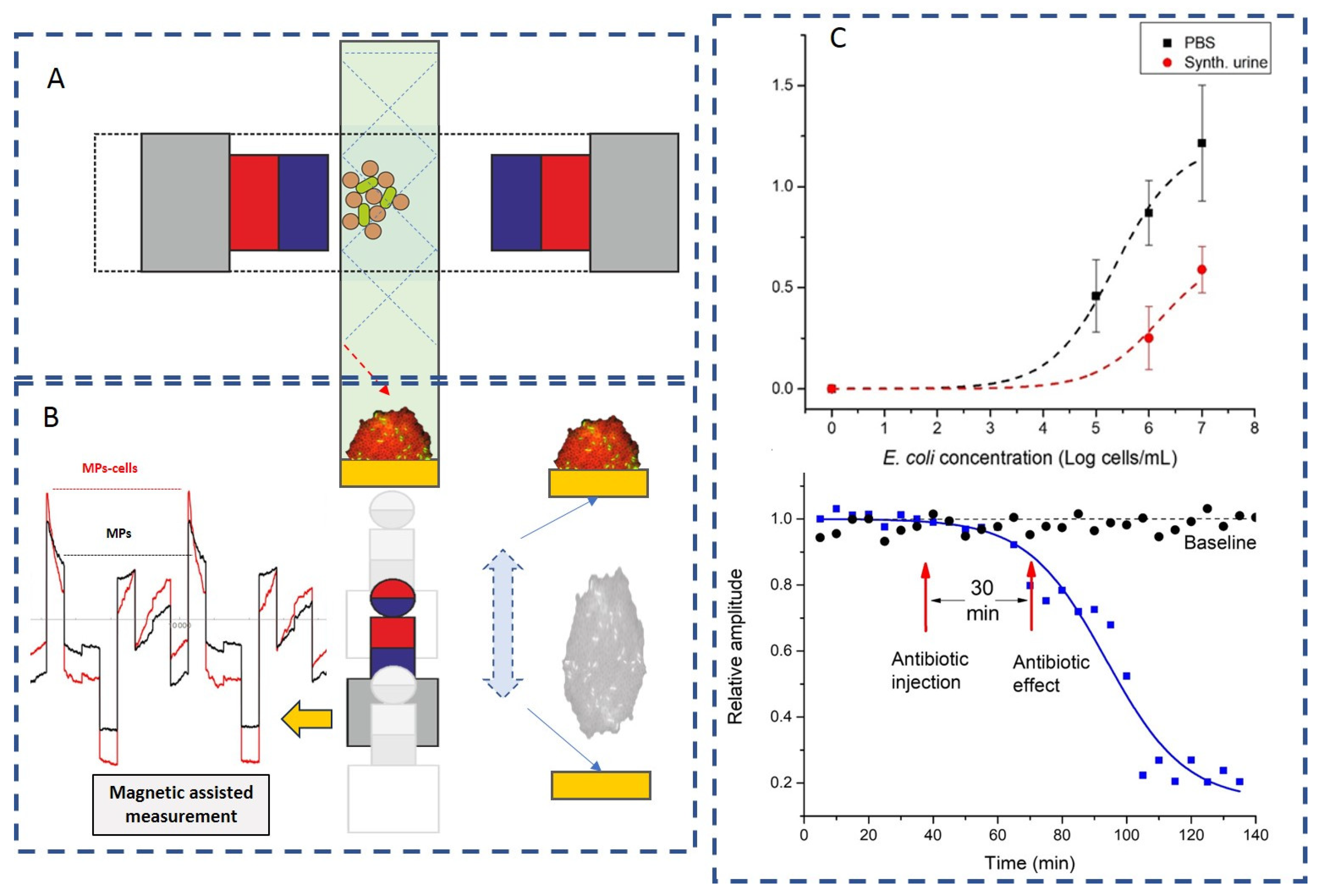 Materials 18 02264 g005