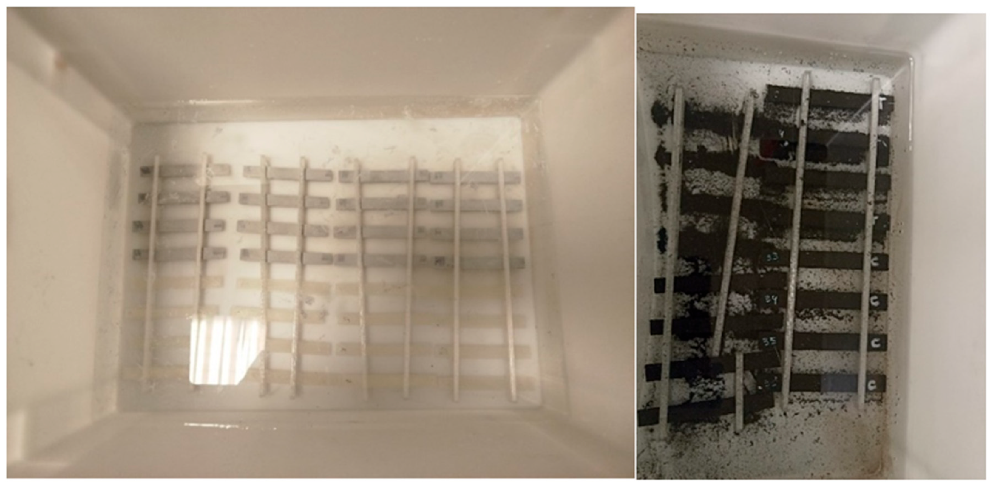 Materials 18 02267 g005