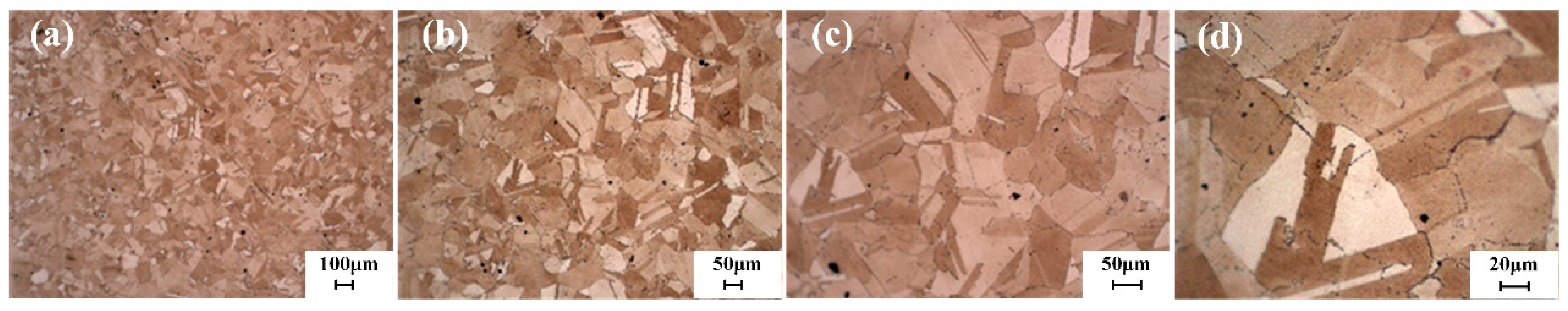 Materials 18 02271 g010