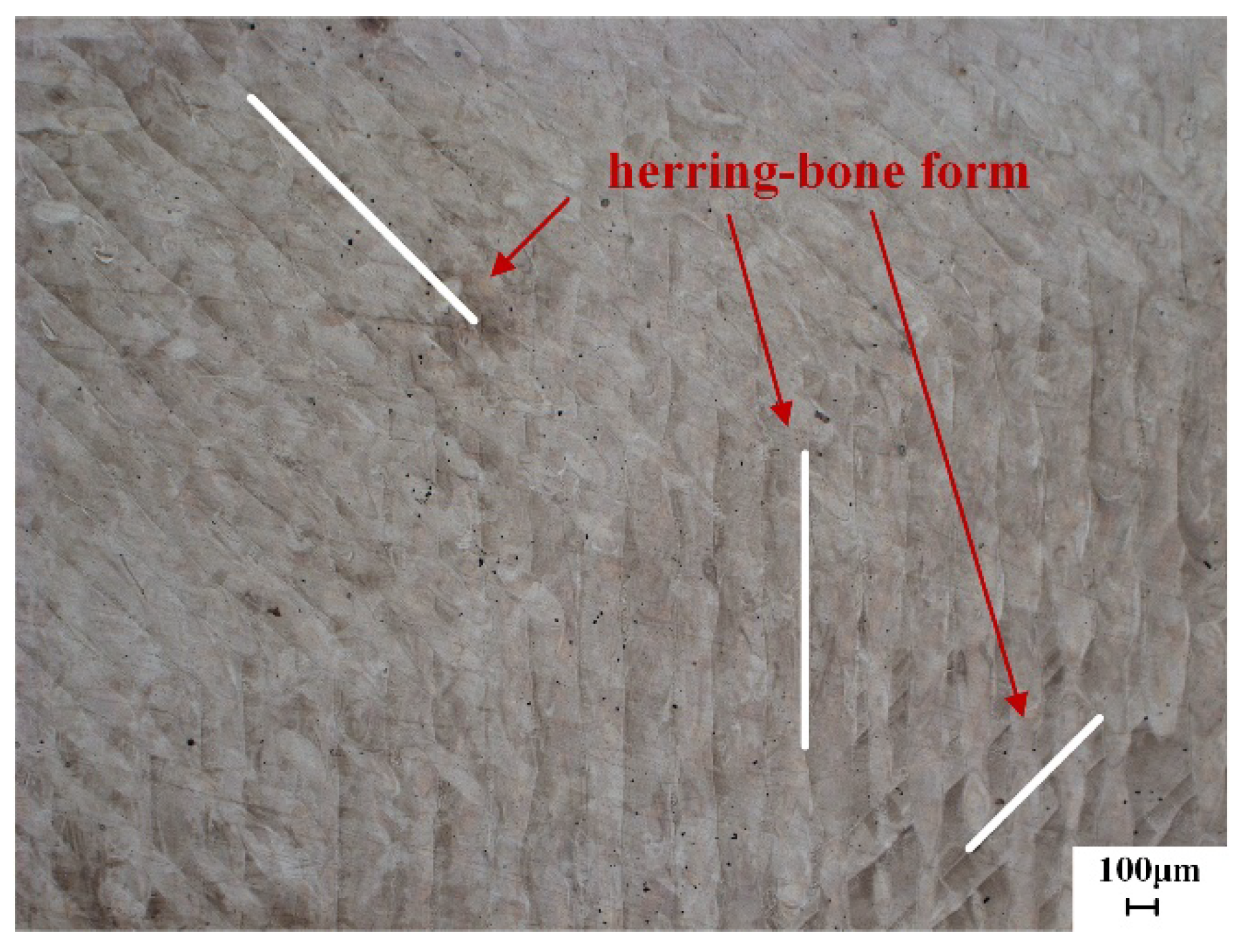 Materials 18 02271 g013