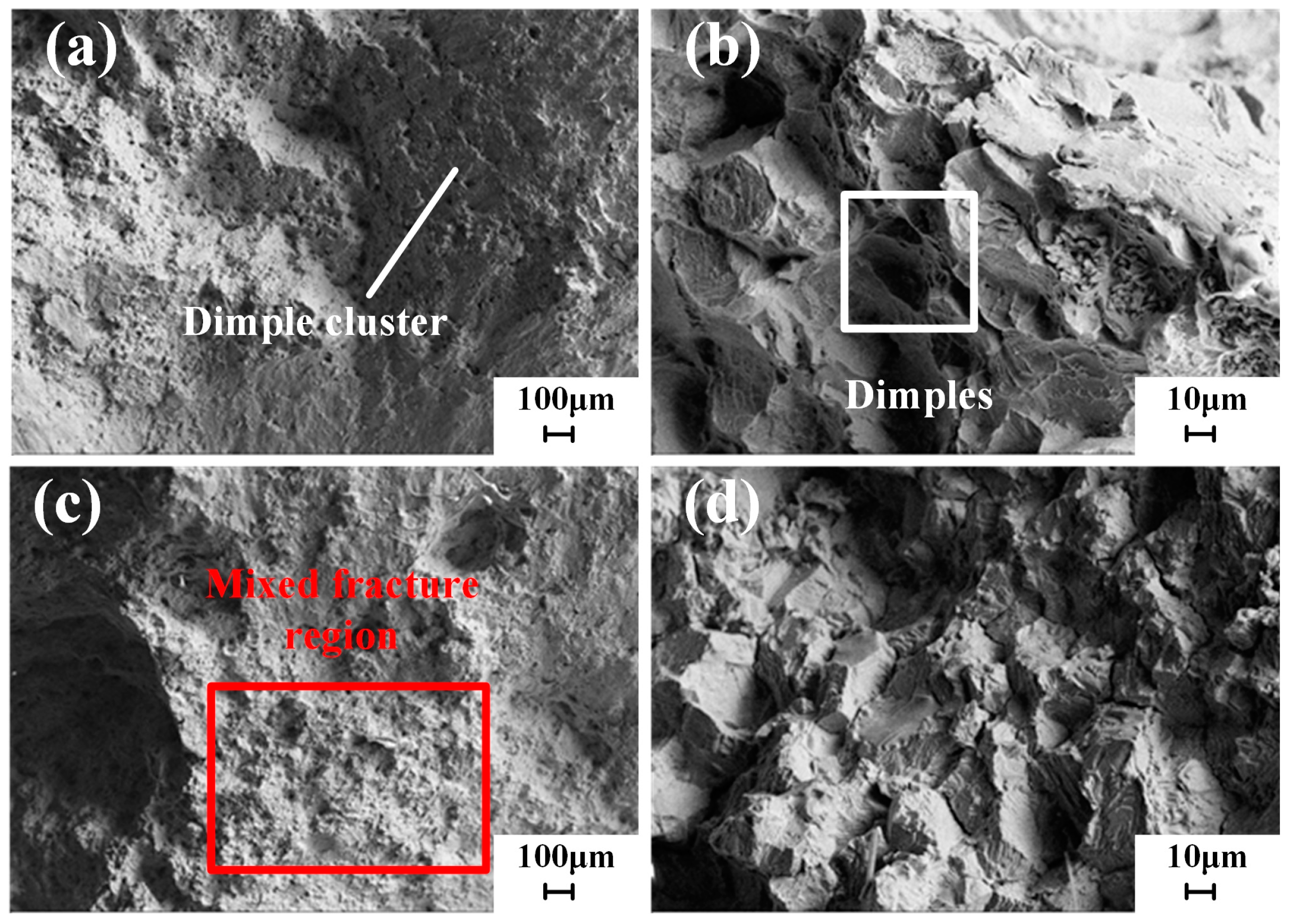 Materials 18 02271 g014