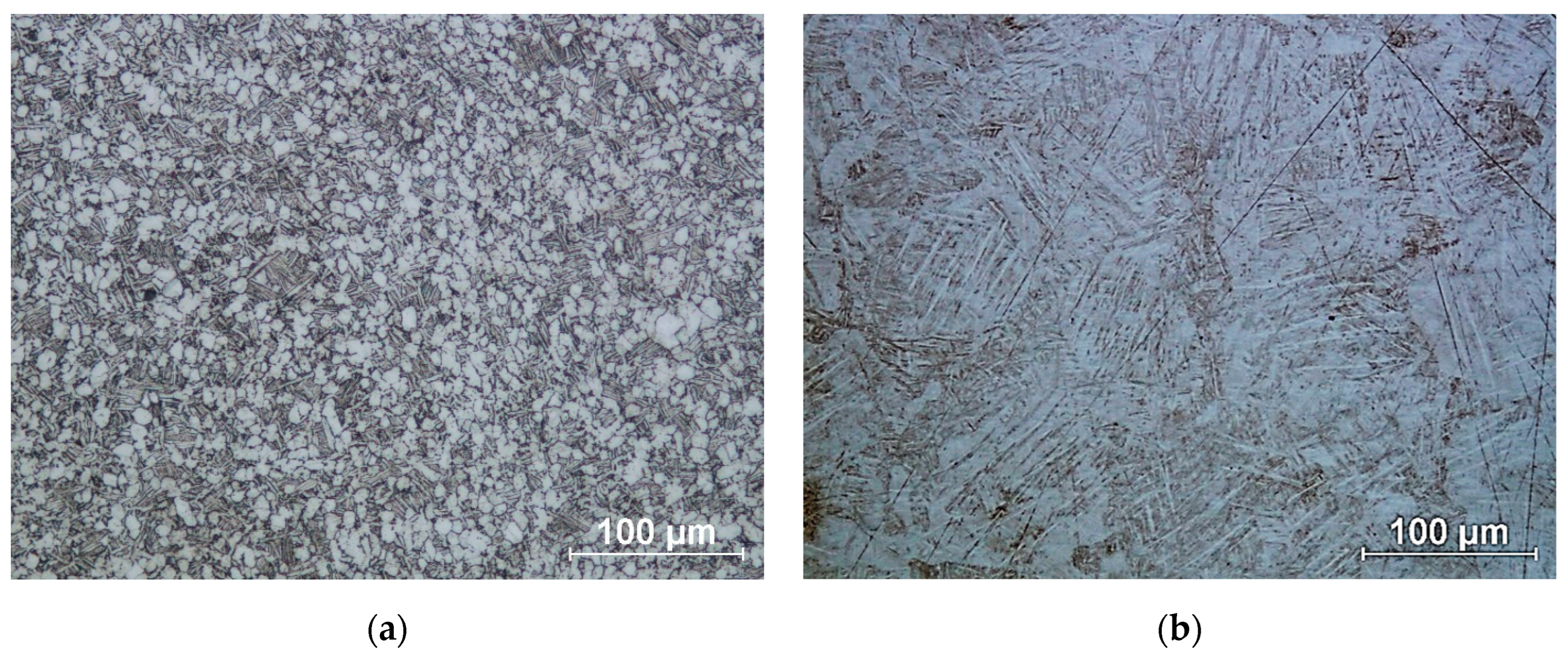 Materials 18 02274 g007