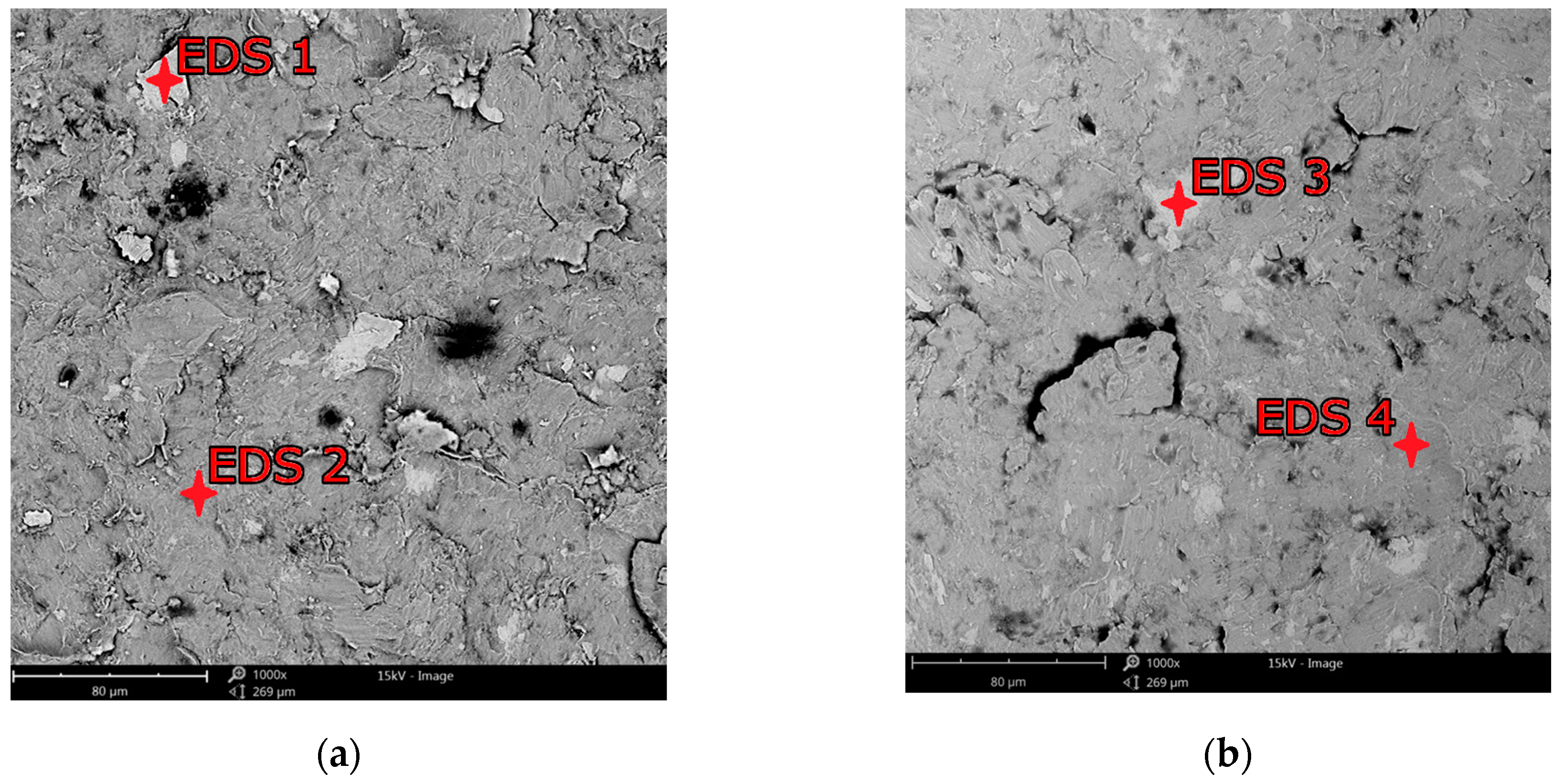 Materials 18 02274 g012