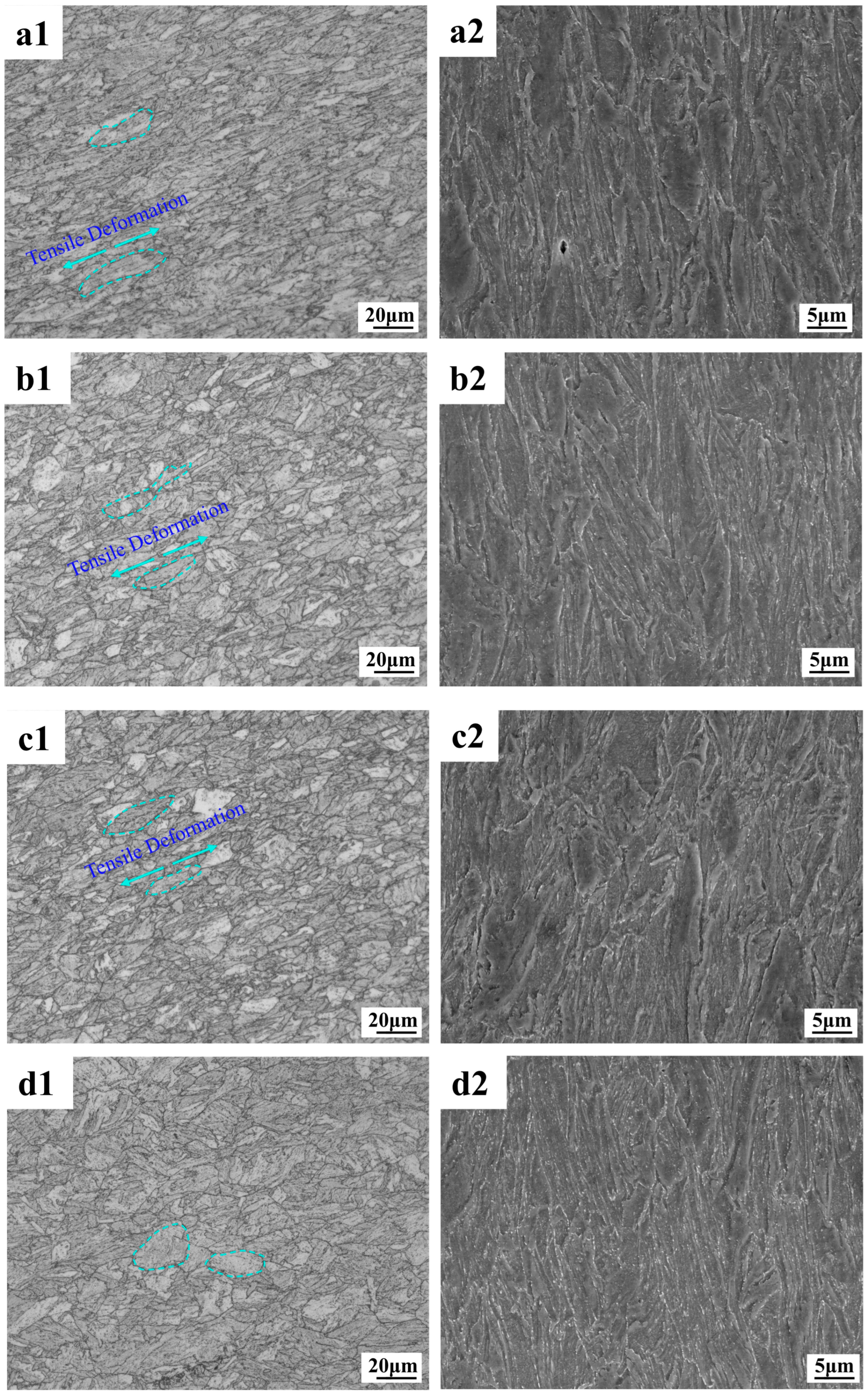 Materials 18 02288 g010