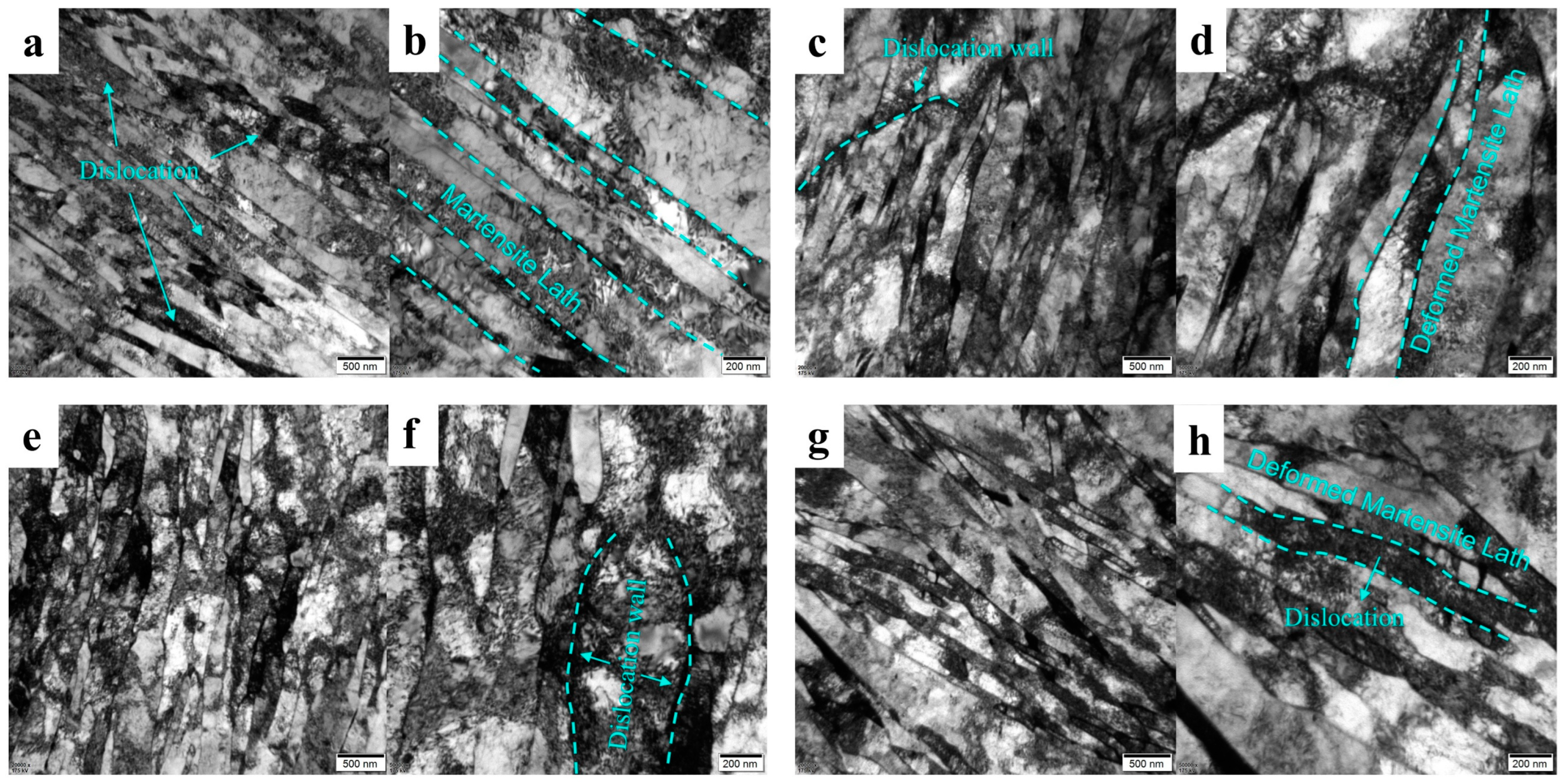 Materials 18 02288 g016