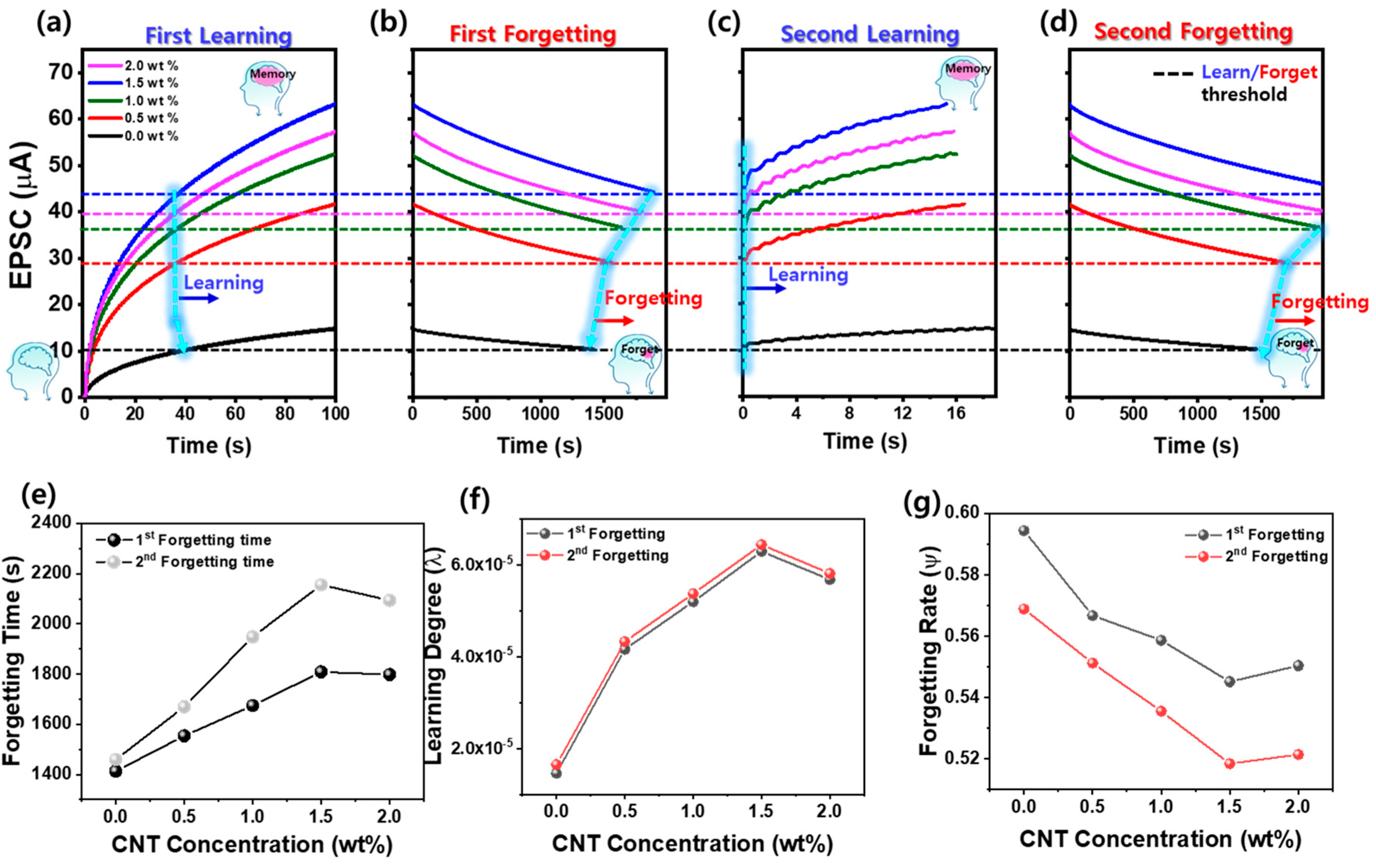Materials 18 02293 g005