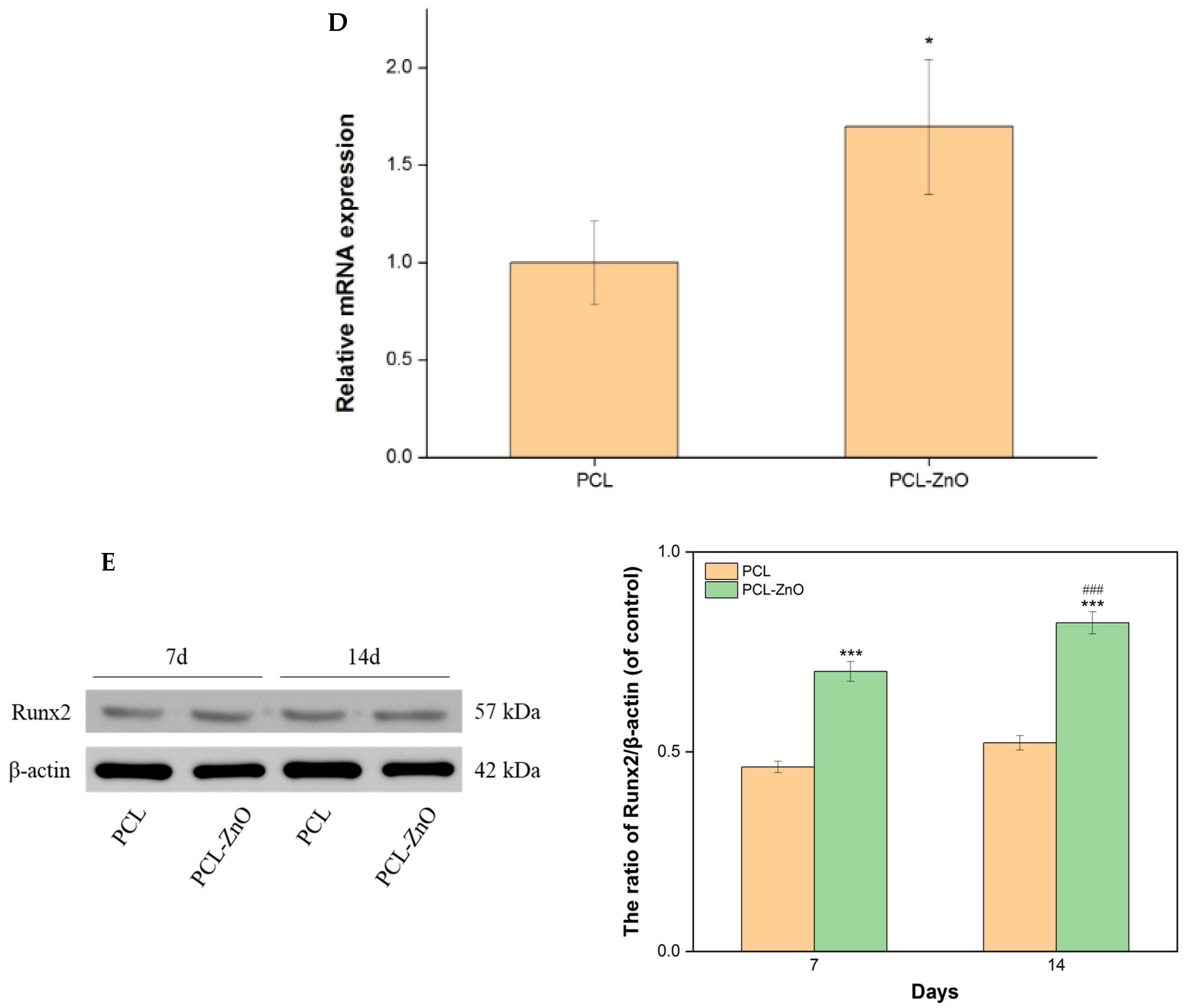 Materials 18 02295 g005c