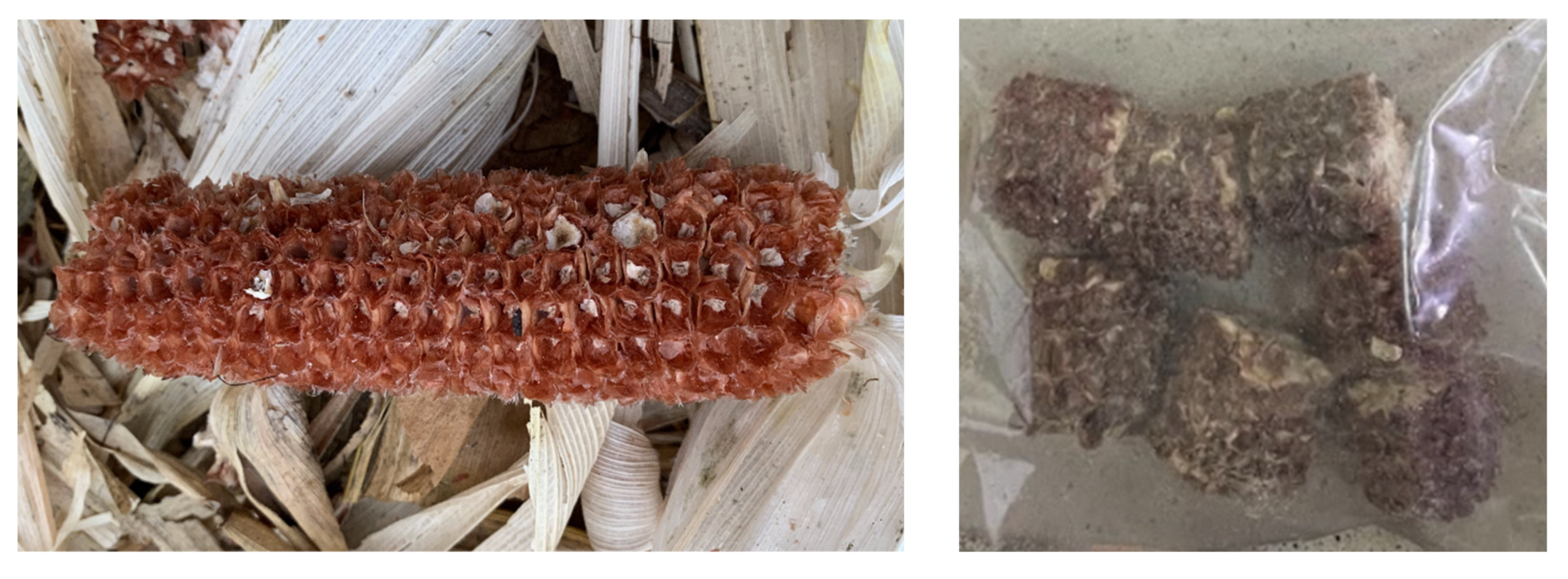 Materials 18 02302 g001