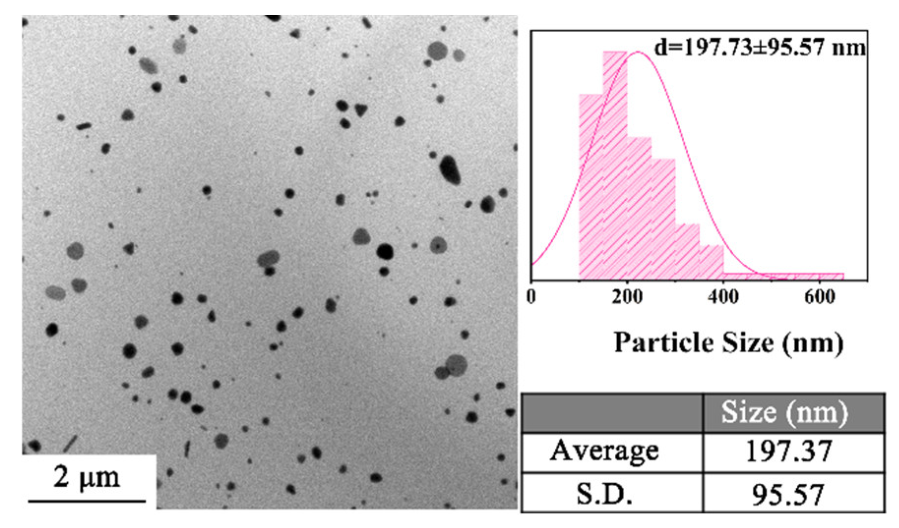 Materials 18 02315 g007