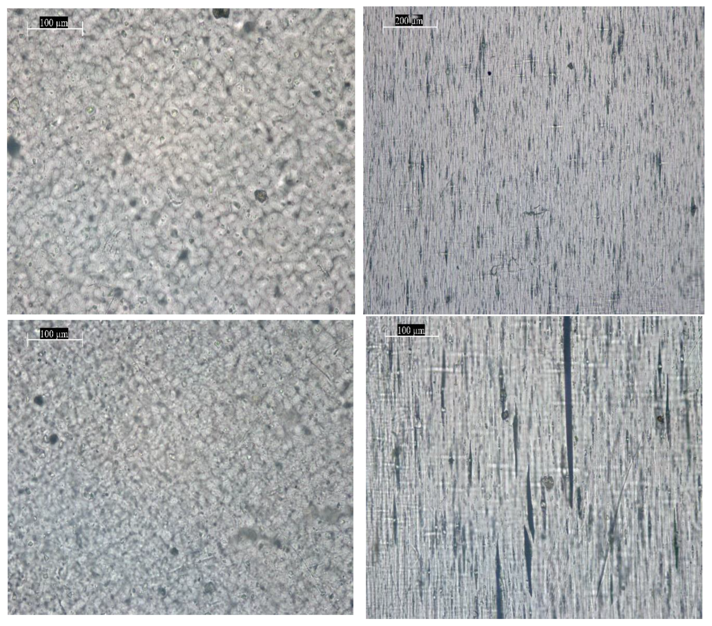 Materials 18 02316 g006