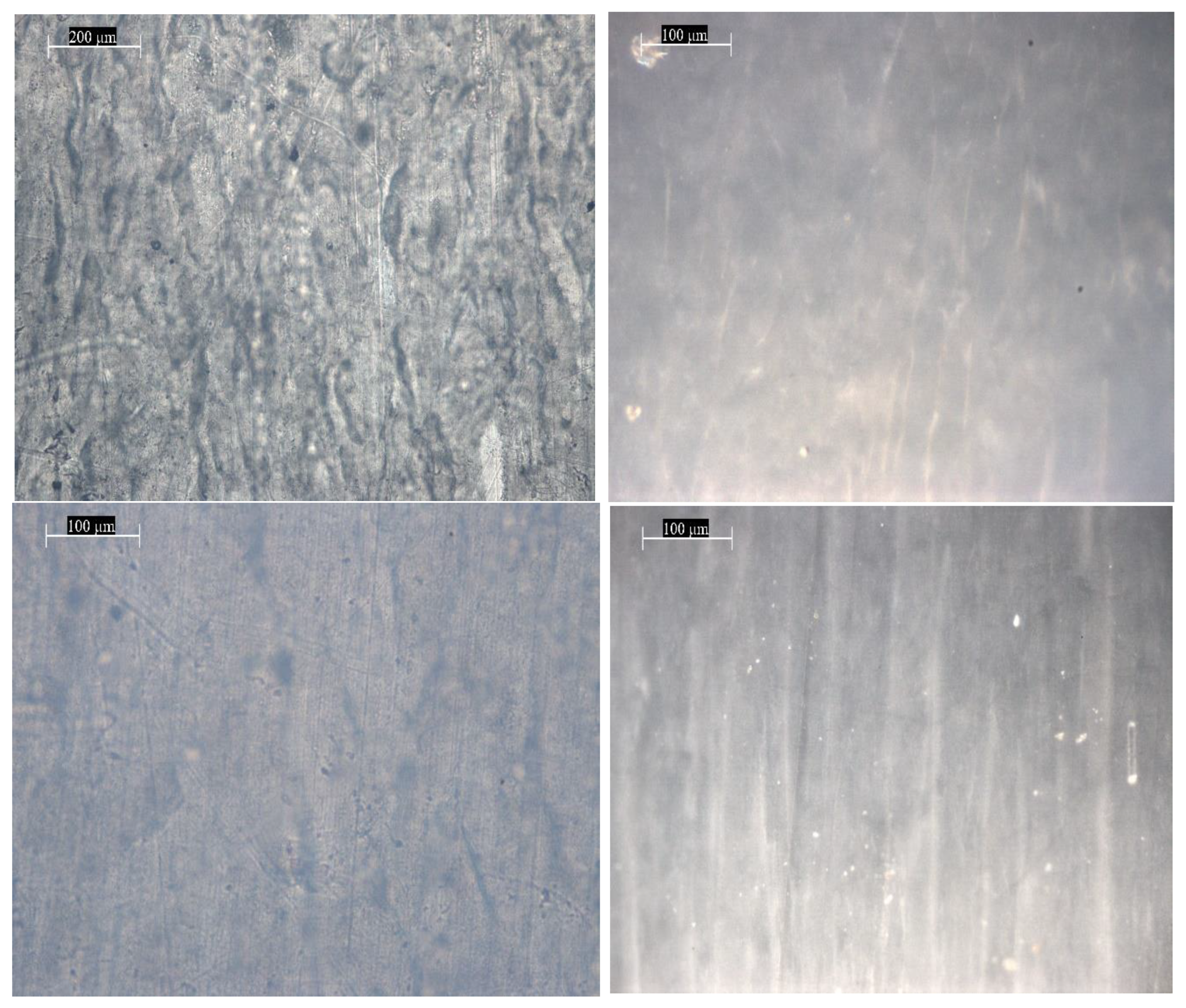 Materials 18 02316 g007