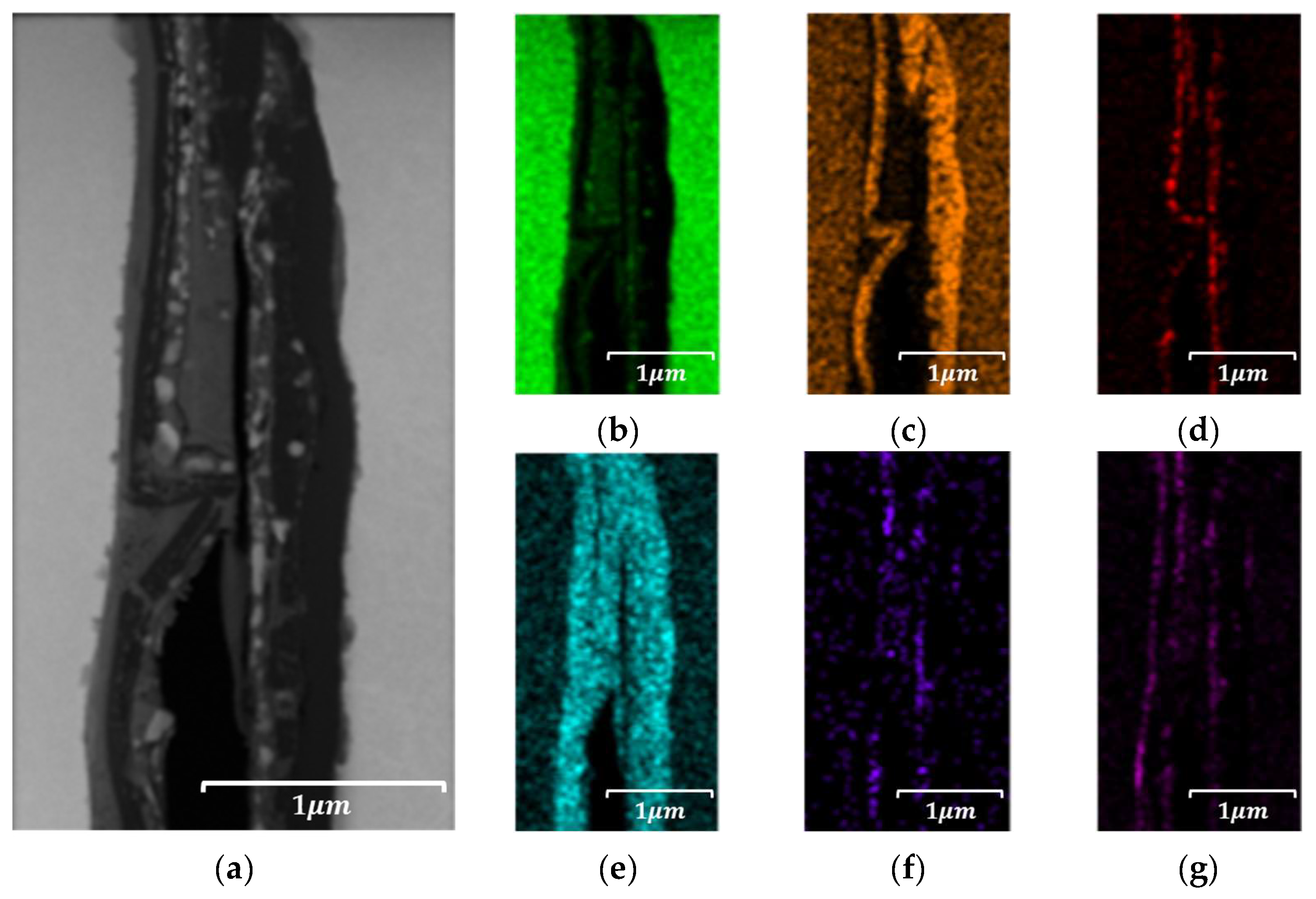Materials 18 02321 g017