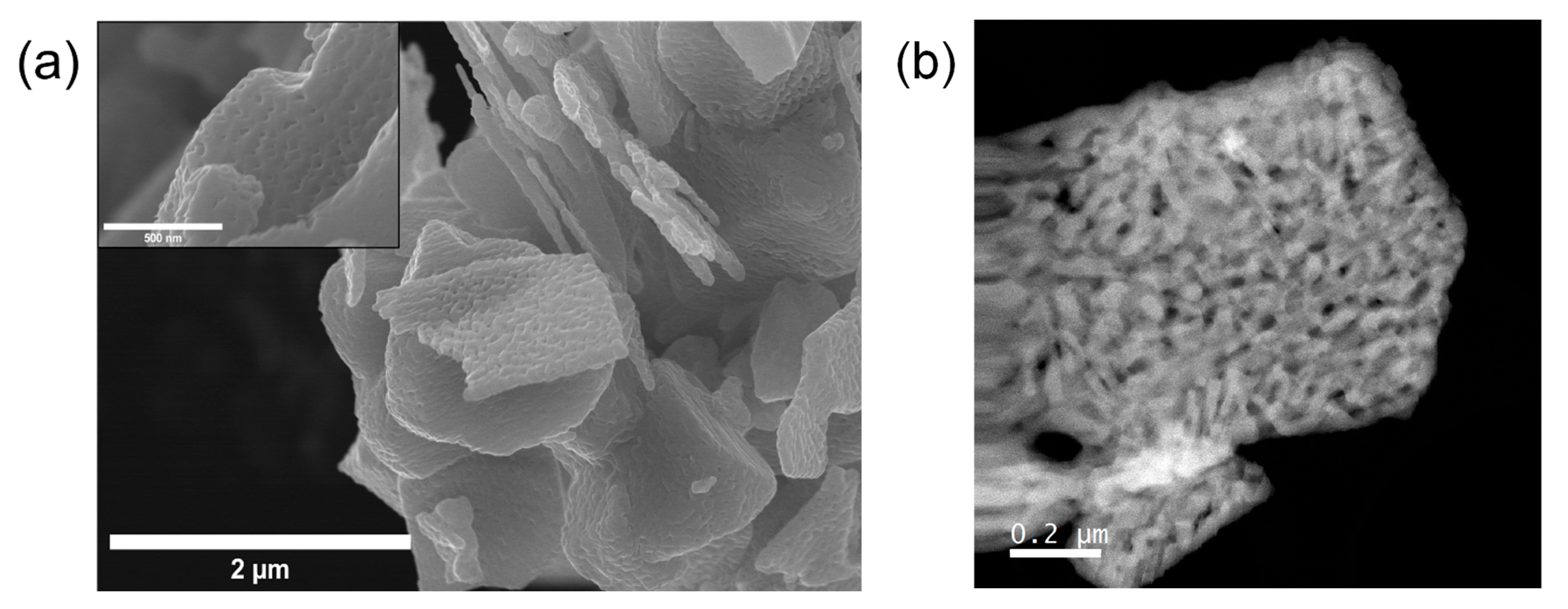 Materials 18 02340 g003