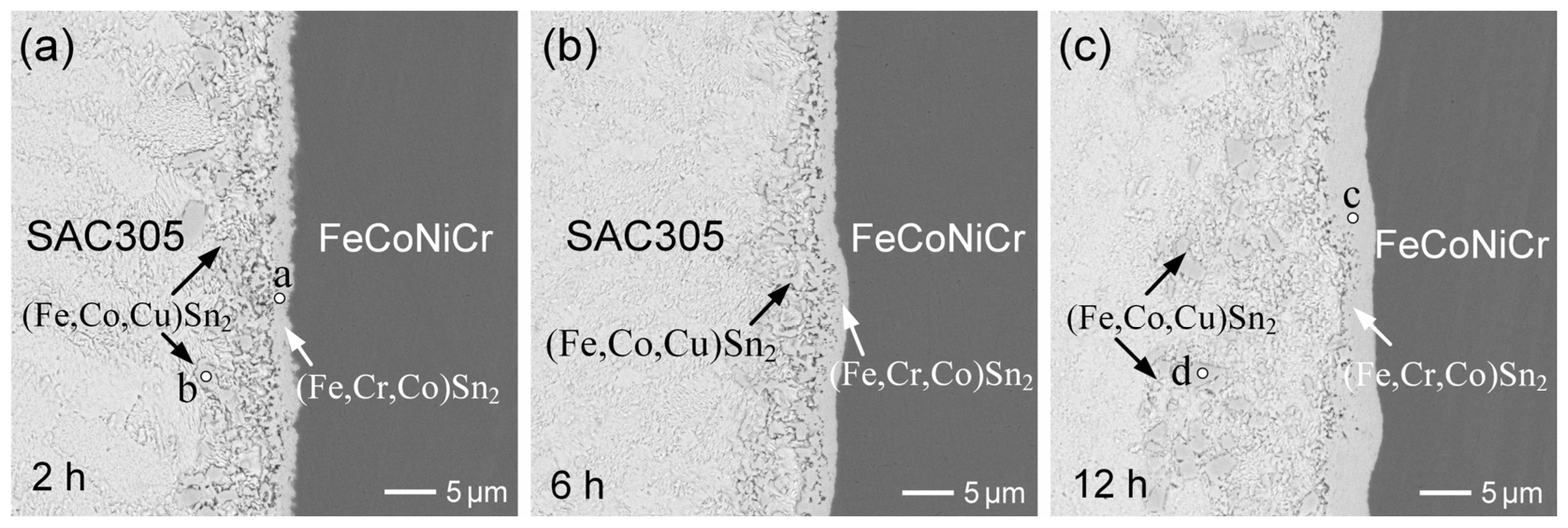 Materials 18 02379 g007