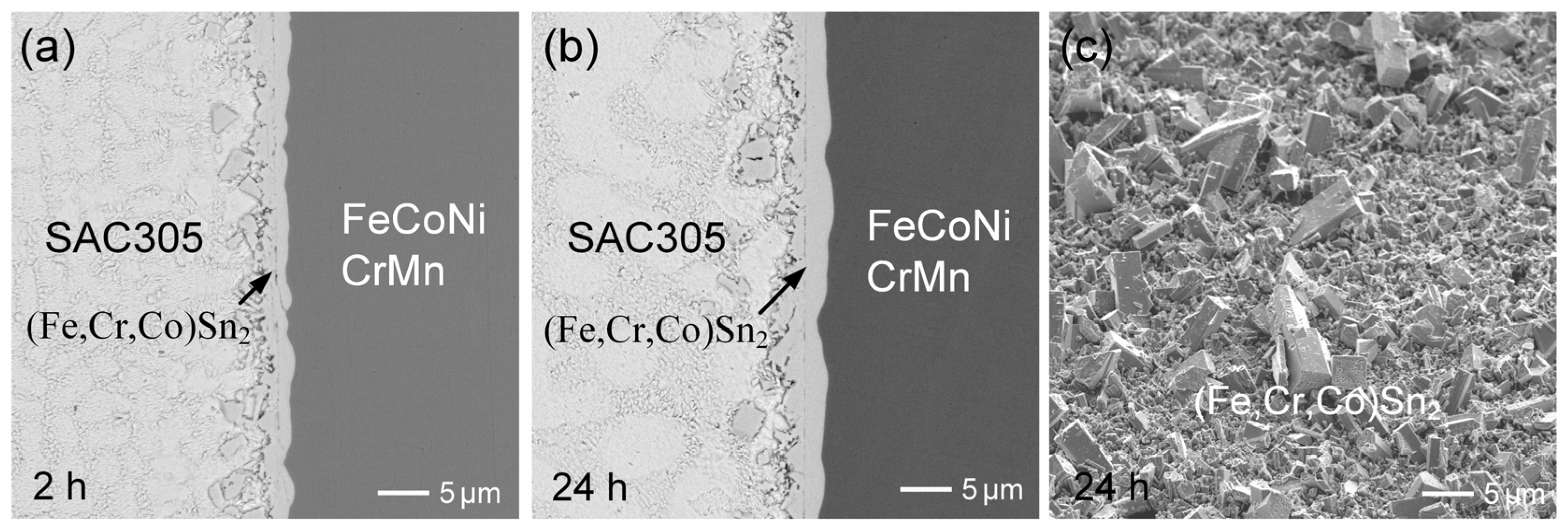 Materials 18 02379 g008