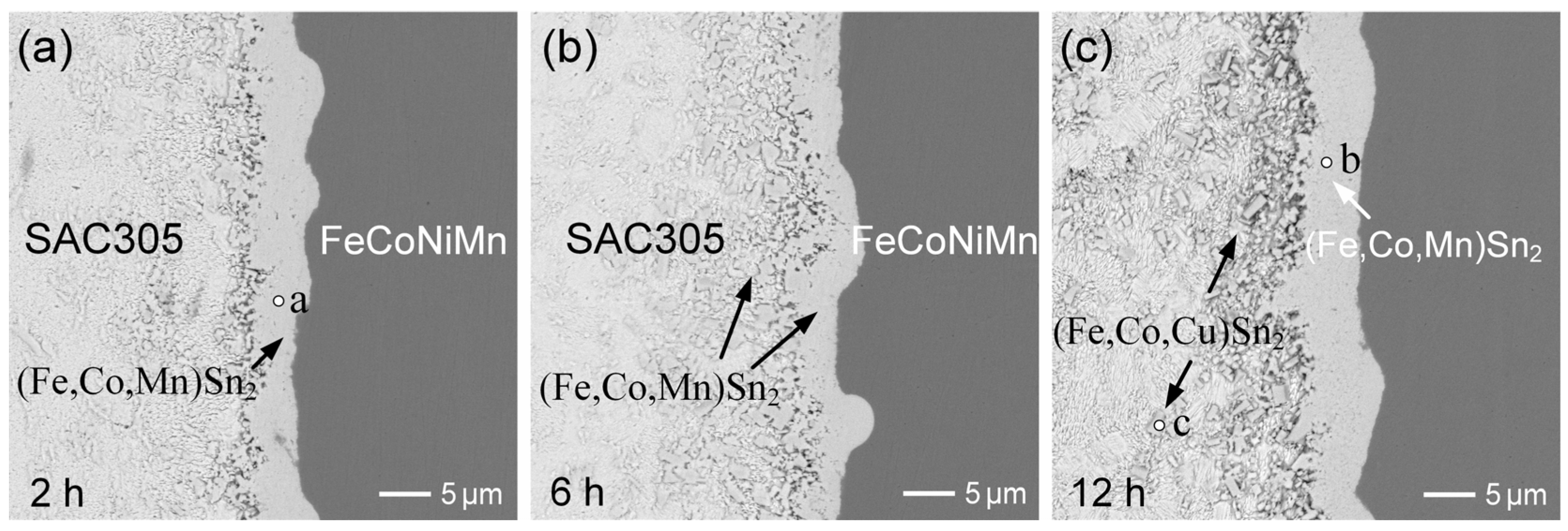 Materials 18 02379 g009