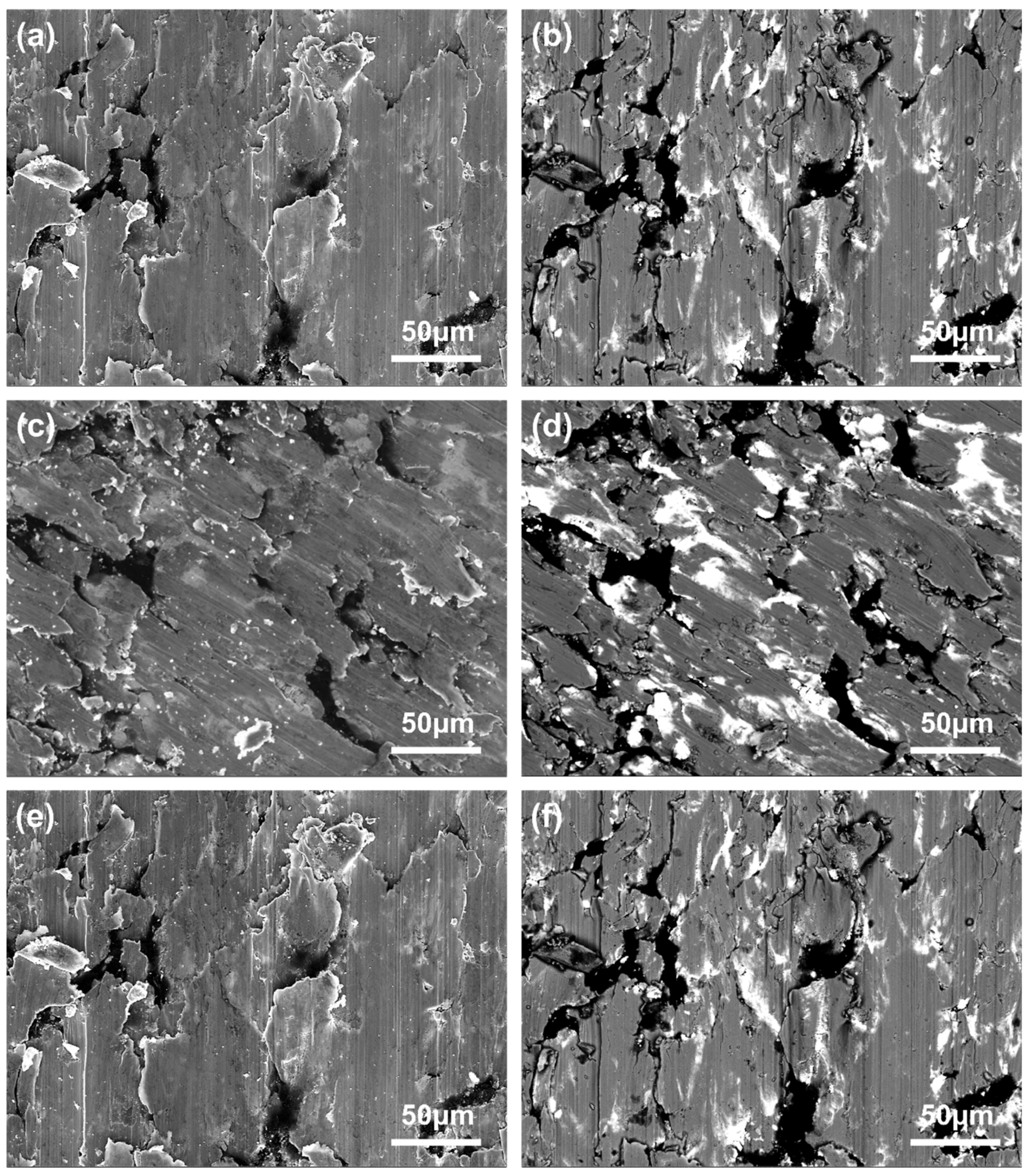 Materials 18 02391 g010