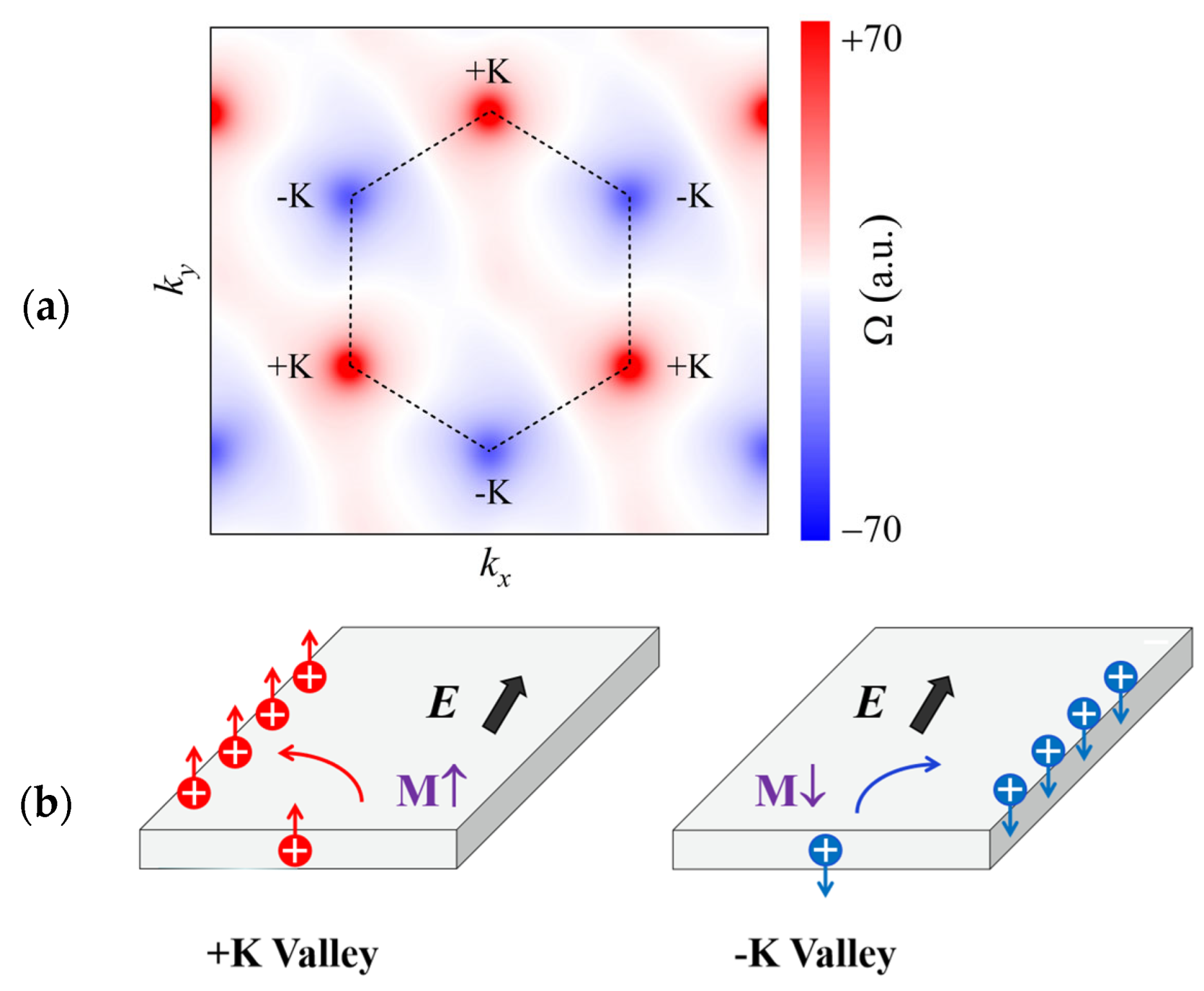 Materials 18 02396 g004