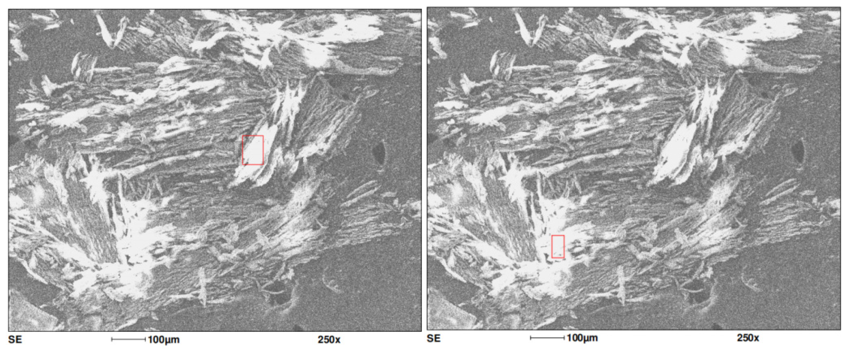 Materials 18 02401 g004